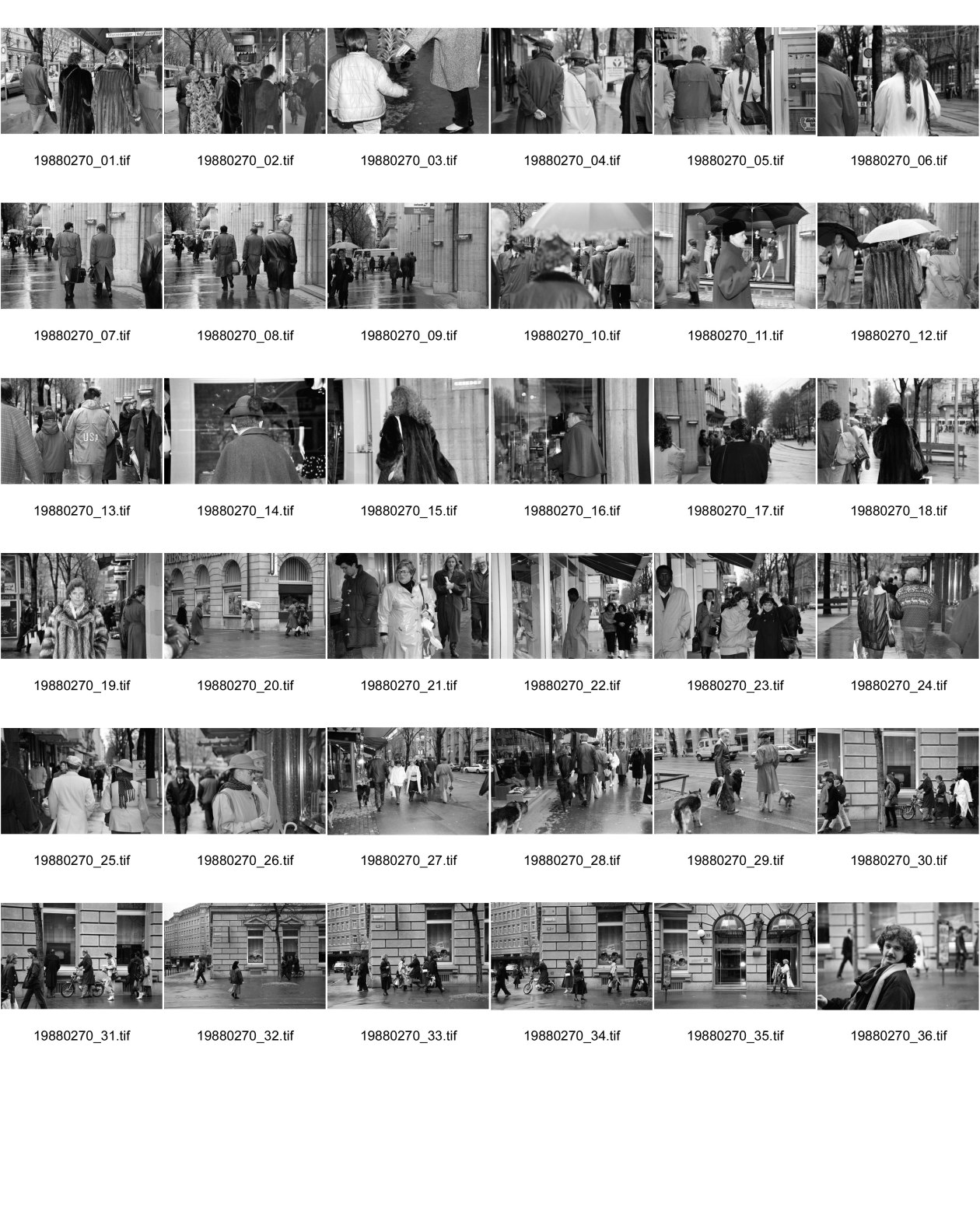 Image of sheet 19880270: frstg. 880260        Damen plaisieren vor Schaufenster Damen unter Regenschirmen. Mann mit USA auf dem Rücken. Herren mit Hundchen. gefolgt von einem Hund. in Pelzmäntel an der Zürcher Bahnhofstrasse. Zürich 1988