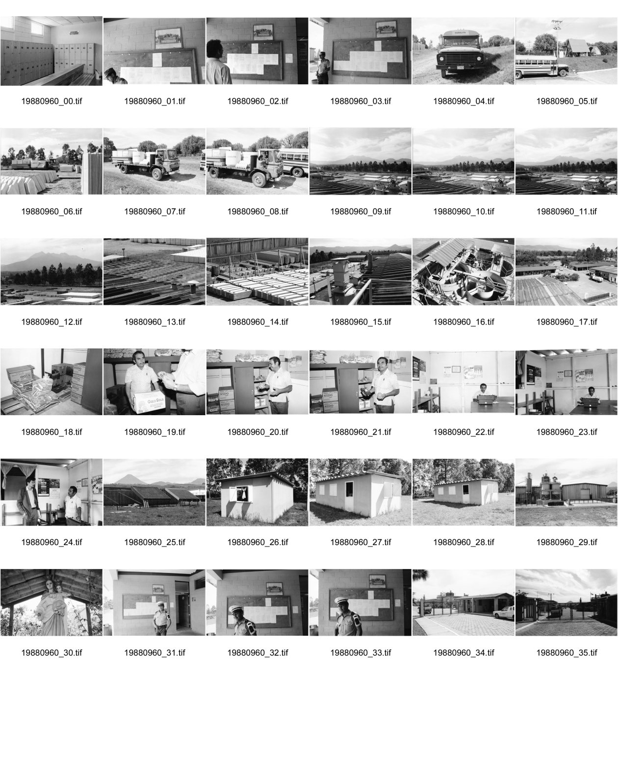 Image of sheet 19880960: Am schwarzen Brett der Gewerkschaft hängt eine Photographie vom Streik aus dem Jahre 1978. Alter Bus für die Arbeiter. Lastwagen mit Eternit-Elemente geladen. Uebersicht Duralita. Eternit Tochter. schmidheiny Holcim Ein Solidarismo Vertreter gibt auch Nestlé Milch an die Arbeiter. Res Strehle spricht mit ihm. Seine Barrake besteht aus Eternitelementen. Die Madonna Jungfrau Maria bewacht die Fabrik, sie steht immer im Schatten unter einem Asbest Dach. Der Guardia vor der Gewerkschaftstafel. Eingang. Guatemala 1988

Aus: Besichtigung der Hinterhöfe/Rotpunktverlag rpv und WOZ