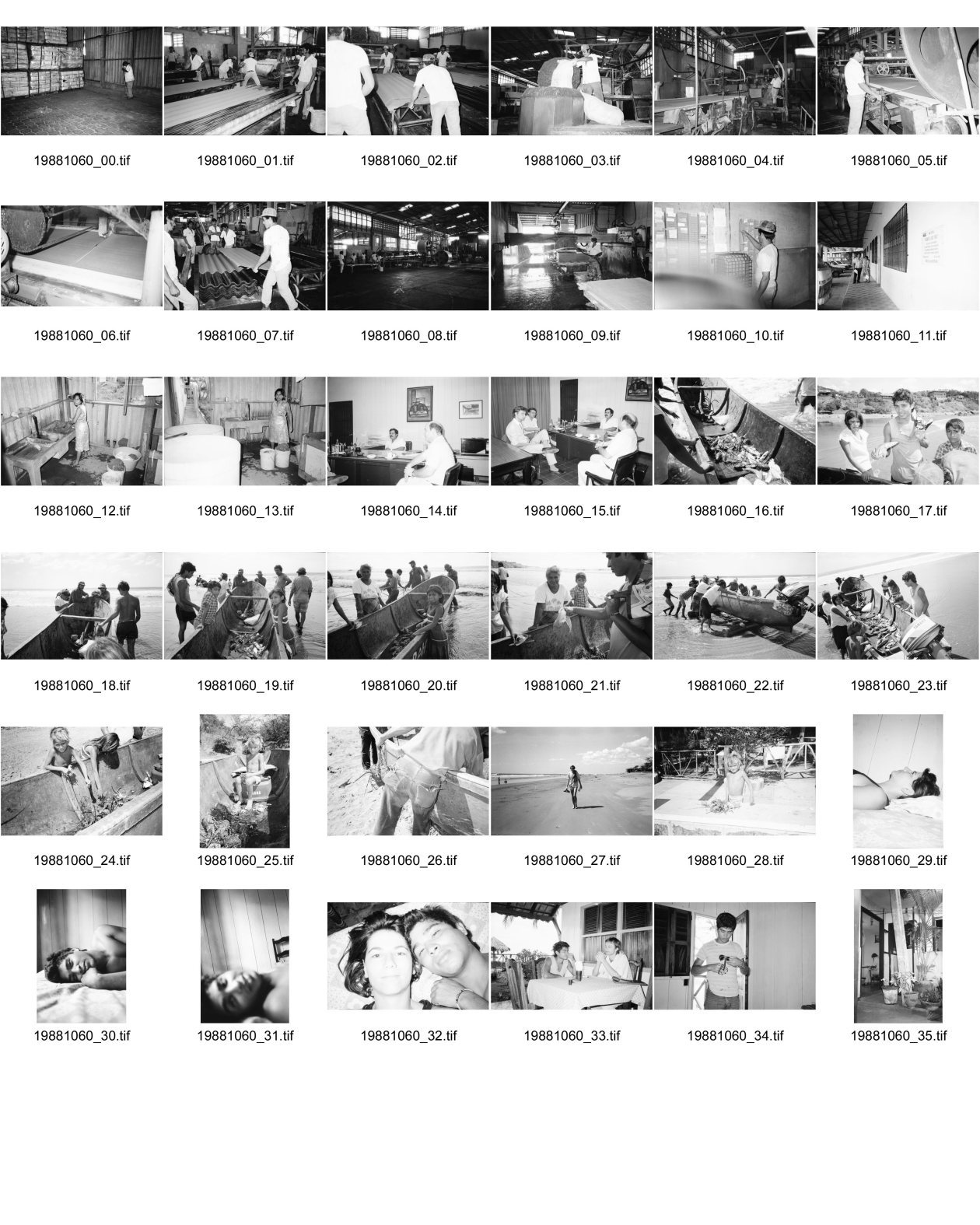 Image of sheet 19881060: Bei der Nicalit, Tochter von Eternit, die noch mit Asbest material arbeitet, werden die Wellblechdächer noch von Hand gewellt. Wäscherei in der Fabrik. Arbeiter bei der Arbeit.
Nicalit Asbest-Fabrik in San Raffael del Sur in Nicaragua, Zentralamerika. Die Nicalit gehoert zum Schmidheiny-Konzern, der weltweit in verschiedenen Fabriken Produkte mit Asbestfasern herstellt. Jahre danach sind viele ehemalige Asbest-Arbeiter an Asbestose erkrankt, einer Krankheit die durch die Asbestfasern ausgeloest wird. Die wenigsten dieser Arbeiter erhielten Entschaedigungen, nachdem die gesundheitsschaedigenden Eigensschaften von Asbest bekannt wurden, die meisten sind ihrer Krankheit bereits erlegen. 
Res Strehle beim Gespräch. Tages Anzeiger. fischer mit Hummer in Hosentasche. Fischer ziehen einen Haifisch ohne Flossen an Land. Die Flossen sind abgeschnitten und verkauft. La Boquita. José und Olivia. Fischerjunge. Fischerboote aus Holz. Nicaragua 1988