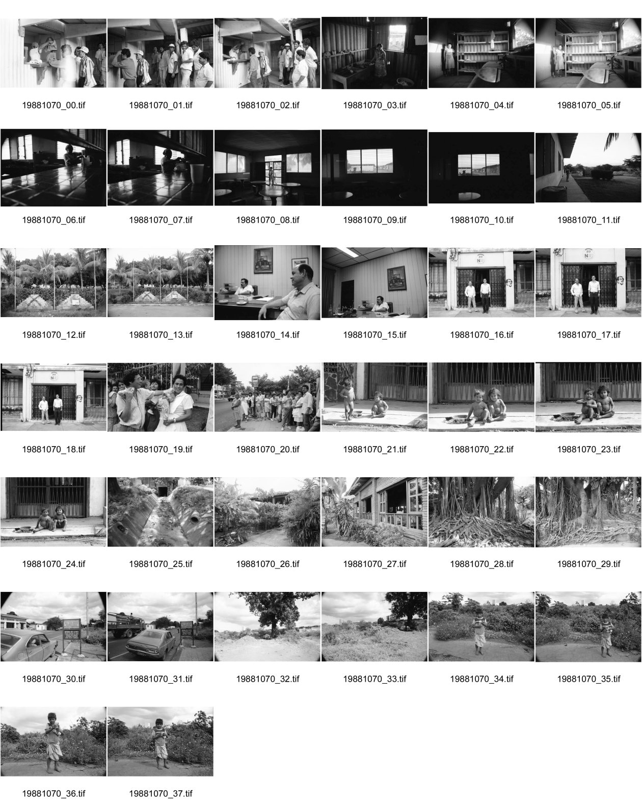 Image of sheet 19881070: Eingang der Nicalit werke in San Raffael del Sur. Arbeitet mit Asbest. Funde re: Carlos A. Noguera Dir. Ejecutivo Fundacion Nicaraguense de Desarollo. apt. 2598 Managua. Strassenszene. Menschenschlangen. Kinder. Cafeteria Casa de Gobierno Kultur. Baumwurzeln. Nackte Kleinkinder auf dem Gehsteig. Strassenkind Knabe mit Banknoten Junge mit Geldscheinen vor der 'Banco de America' im vom Erdbeben zerstörten Gebiet der ehemaligen Altstadt Managuas. Nicaragua 1988