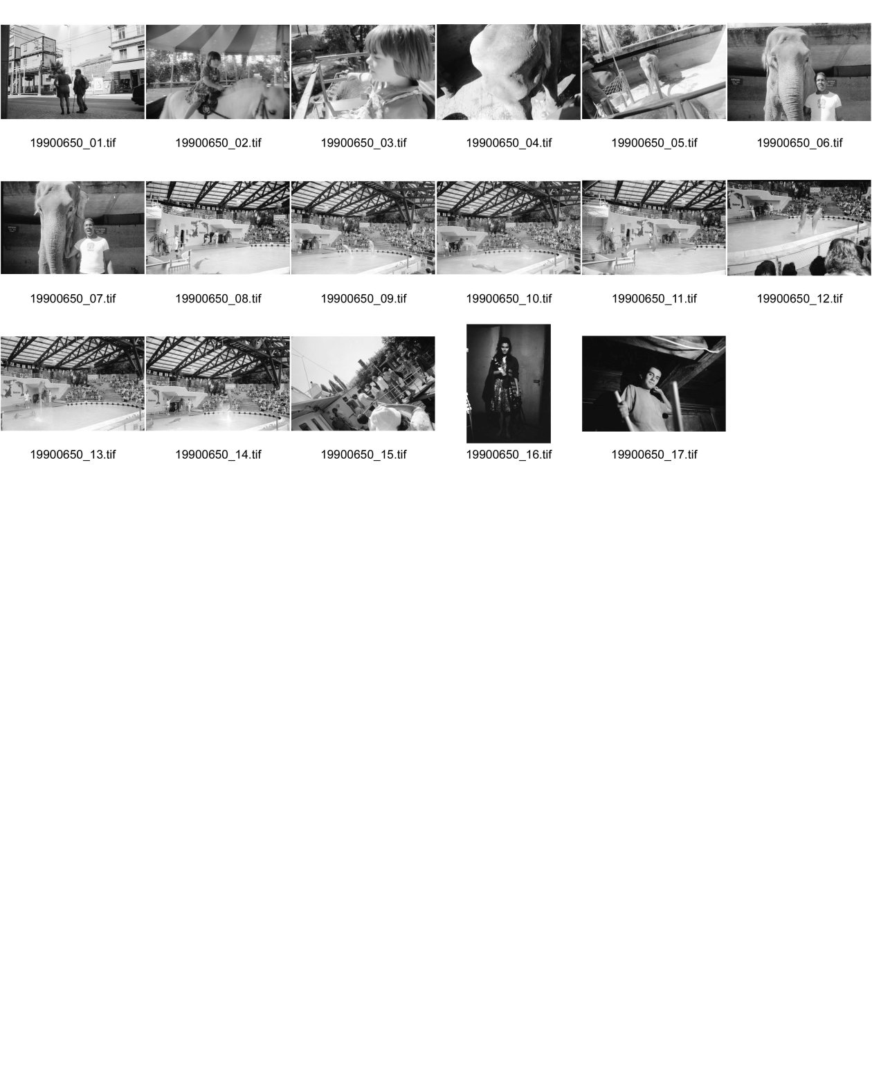 Image of sheet 19900650: Ausflug mit Arina Heussler in den  Rapperswiler Kinderzoo Knie. Ritt auf dem Elephanten. Afrikaner mit Elephanten. Elefant Delphinshow. Dampfschiff Touristen. Portrait Tomo Muscionico (nicht von mir)
Zürich 1990