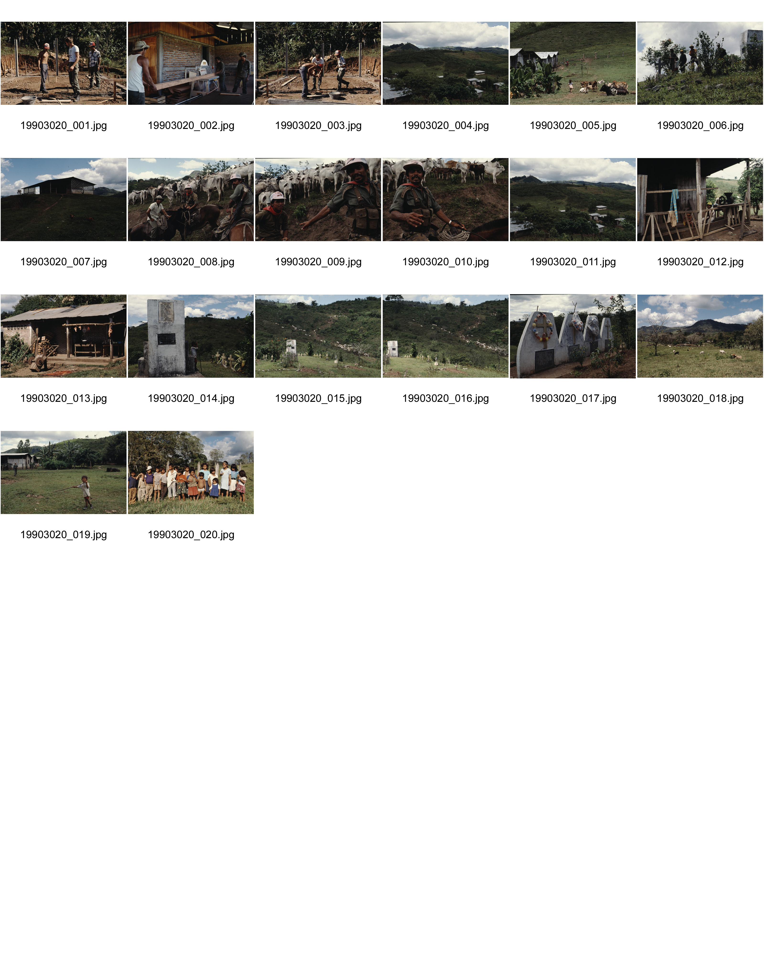 Image of sheet 19903020: Landwirtschaftskooperative Polo de Yale, Matagalpa Nicaragua 1990.