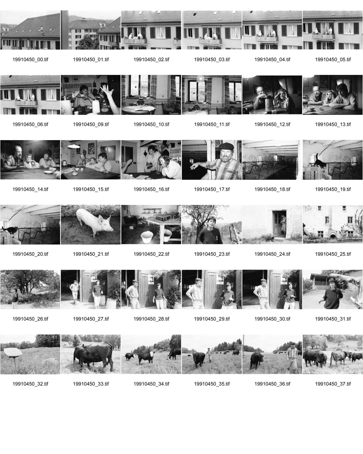 Image of sheet 19910450: frtsg 910440 Bio Bauernhof Cerniévillers Schwein und Rinder Kuh Muttertierhaltung Weide Stier Portrait von Lydia Wespi und Strasser. Solar Elektro Zaun Ziegen Käse Produktion Katze Stall am Abendtisch mit der Familie Strasser. Kanton Jura 1991

Erismannstrasse Zwei Rentner Alte lüften. Balkonszene Zürich