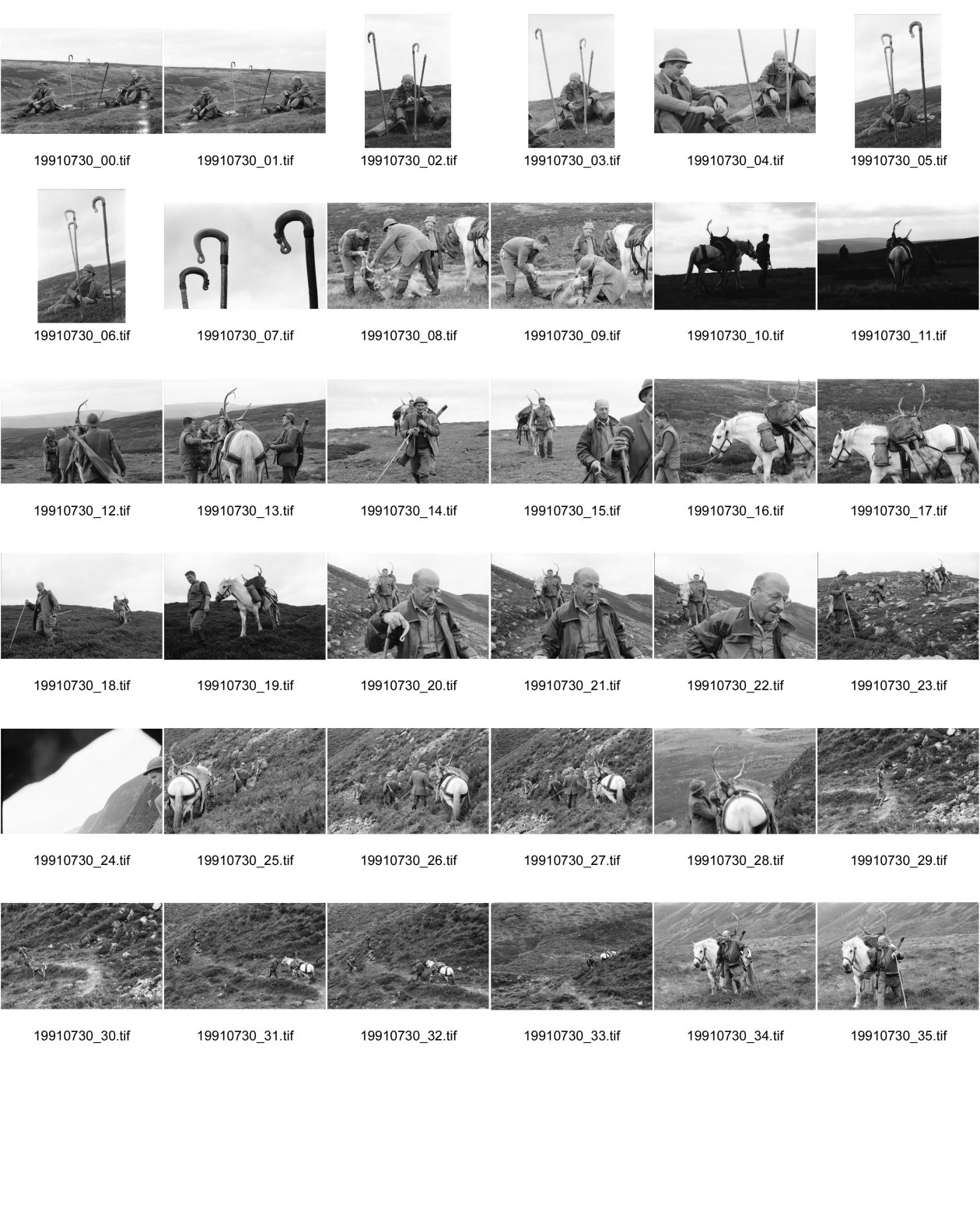Image of sheet 19910730: frtsg. 910720 Vital und Andy geniessen nach dem Schuss ein Schuss
 Whisky, Drei Gehstöcke mit Horn griffe stecken in der Erde.
 Portrait. Andy und Vital. Der Ponyboy marschiert mit dem
 beladenen Pony weg. Ein Hirsch wird auf dem Pony transportiert und der andere hinunter gezogen. Portrait Vital.
Deer hunting in Scotland Great britain Grossbritannien