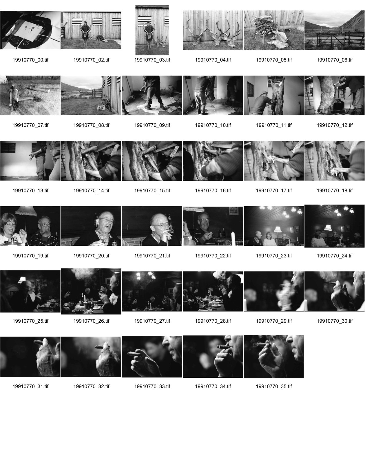 Image of sheet 19910770: frtsg. 910760 zerschossene Zielscheibe. Olivia und geschossener Hirsch. Kopf und Geweih. Drei Hirschköpfe und Geweihe. Hörner aufgebahrt. Tor und Sicht ins Tal. Hirschfüsse liegen im Schlachthaus am Boden. Der Hirsch wird vom Jäger geschlachtet. Die Innereien, die Leber eingeschickt zur Kontrolle. Personen. Susie Christie und Walther Strauss. Vital, und Close Ups Stumpen cigars smoking smoke Georg Christie Nase.
Deer hunting in Scotland Great Britain, 1991  Grossbritannien scottland Jagd Hirsch 1991
Hirschjagd in Gaick Lodge, Schottland, Vereinigtes Königreich
Scotland (Scottish Gaelic: Alba ([ˈal̪ˠapə ] About this sound listen (help·info)) is a country that is part of the United Kingdom. Occupying the northern third of the island of Great Britain, it shares a border with England to the south and is bounded by the North Sea to the east, the Atlantic Ocean to the north and west, and the North Channel and Irish Sea to the southwest. In addition to the mainland, Scotland is made up of more than 790 islands including the Northern Isles and the Hebrides.