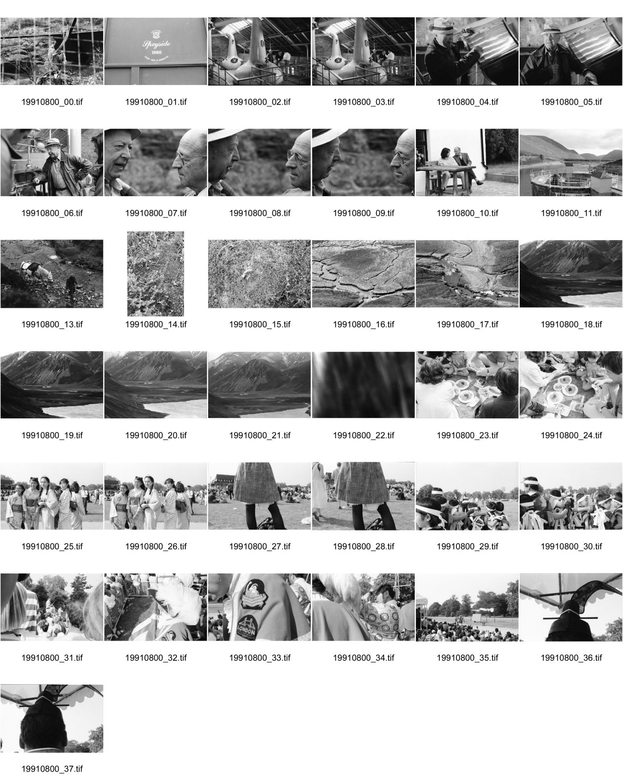 Image of sheet 19910800: frtsg. 910790 Ein Adler im Zoo. Speyside Whiskey Produktion Distillery von Georg Christie. Portrait. Georg und Vital und Tochter Christie. Lachs lift. hinter Staumauer. Pony und Ponyman. Moorlandschaft mit Fluss. Mose. Gaick Lodge von oben hinunter. mit See. In London Hyde Park Japan Festival. mit Mädchen in Trachten. Jungens. Der Londoner königliche Ausrufer scotland schottland 1991 hunting in 
lake
an eagle in the zürich zoological garden zoo. swiss Switzerland bird
