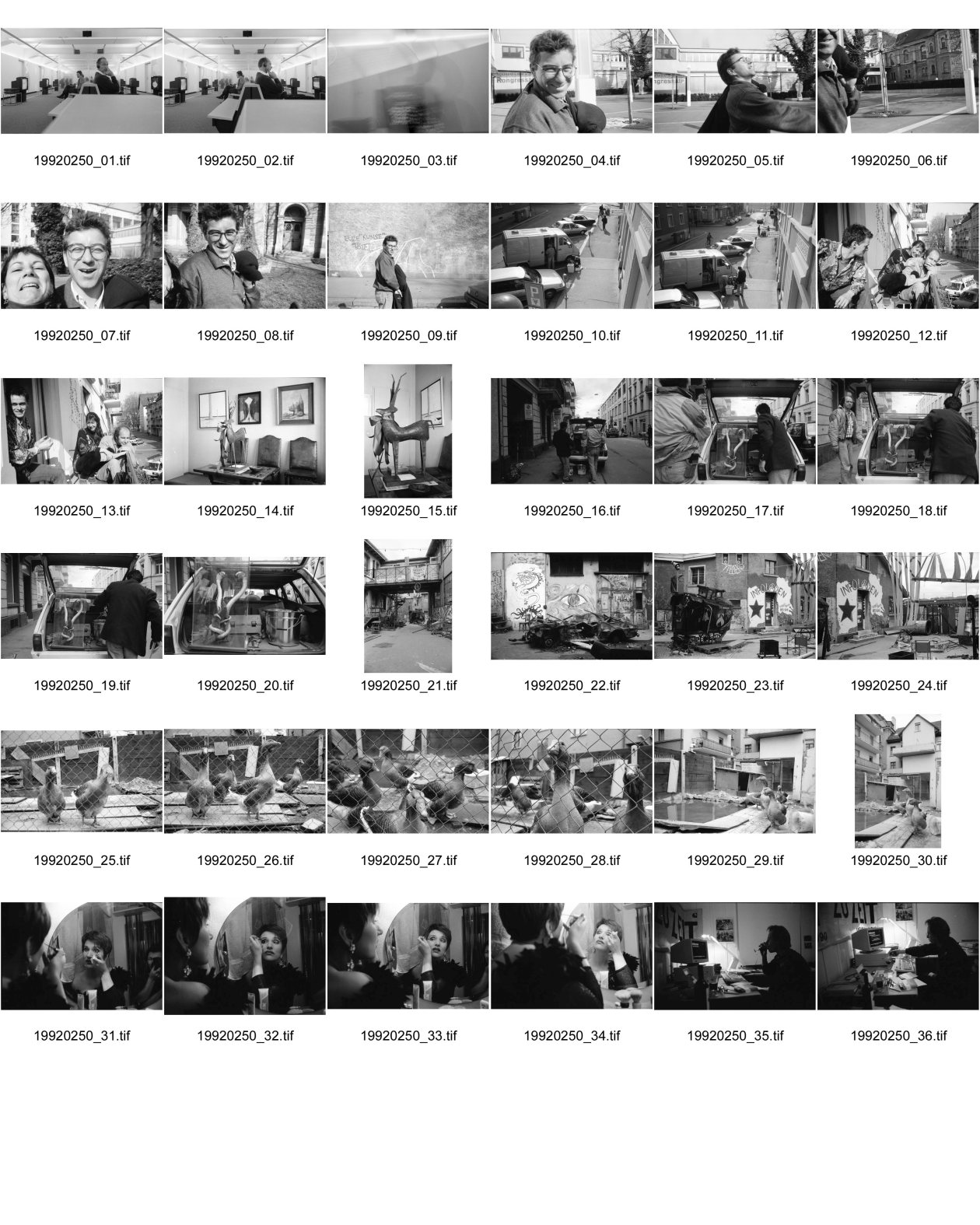 Image of sheet 19920250: Museum für Gestaltung. Computer Grafik. Jean Daniel Aubert. Klingenstrasse Wogeno Stöff Hegi, Bettina und Jürg Bernhard ZIPP Aids Buss. Schlange und Ratte ausgestopft. Wohlgroth Fabrik besetzt Infoladen Videoraum Gänse. Portrait einer ? Sängerin. Klingenbar  Peter Krähenbühl an meinem Computer PC Windows Erismannhof Zürich 1992 Schweiz Switzerland