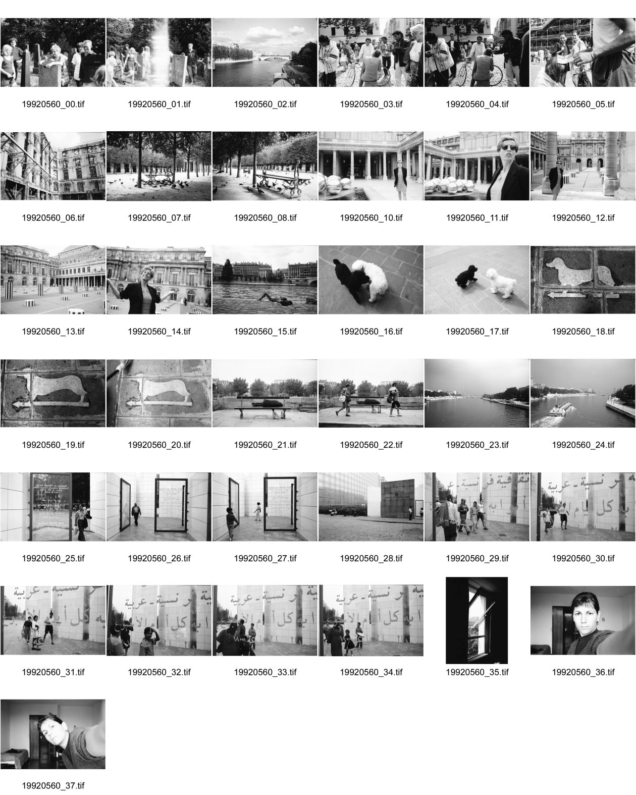 Image of sheet 19920560: frtsg. 920550 Friedhof Lengnau        
© 1992, OLIVIA HEUSSLER
jüdischer Friedhof Lengnau
am Grab von Alis Guggenheim (1896 - 1985)
mit Tochter Ruth Guggenheim Heussler
re aussen: Heide und Beat Wismer
li aussen: Lars Müller und Tochter von Heide und Beat Wismer

Seine in Paris mit Bateau Mouche. Zöpchen Macher vor Centre Pompidou. Rambutau. Kunst von ........am Palais Royal. Portrait Esther Woerdehoff. An der Seine. Schwarzer und weisser Pudel. Hund auf Trottoir. Clochard auf Bank. Institut du Monde Arabe. Durch Eingangstüre mit arabischer Schrift auf Scheibe. Selbstportrait im Atelier von der Cité International des Arts. Paris Frankreich France 1992

The Arab World Institute (abbreviated "AWI"; French: Institut du Monde Arabe, abbreviated "IMA") is an organization founded in Paris in 1980 by 18 Arab countries with France to research and disseminate information about the Arab world and its cultural and spiritual values. The Institute also promotes cooperation and exchanges between France and the Arab nations, particularly in the areas of science and technology, contributing to understanding between the Arab world and Europe. Libya joined the institute in 1984.
