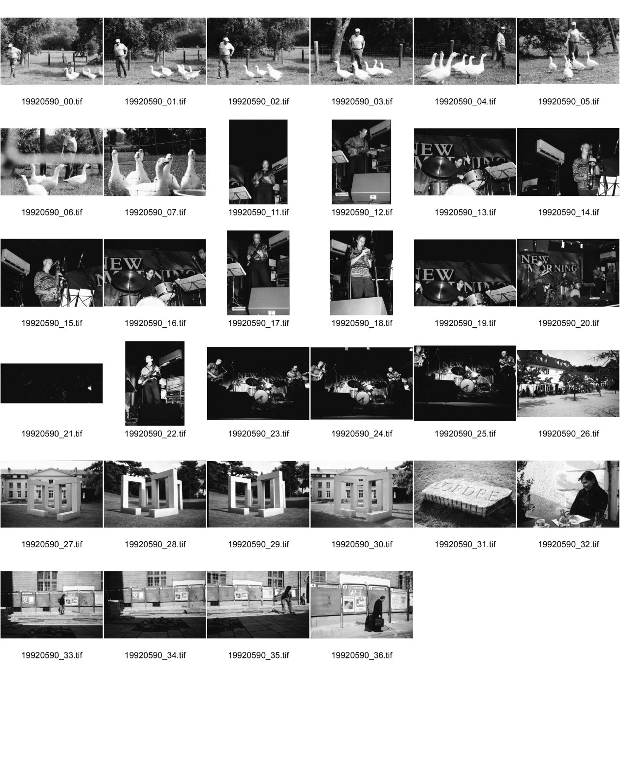 Image of sheet 19920590: Bei Percy Heussler in Elbach mit seinen Gänsen. Steve Arguelles am Schlagzeug im New Morning in Paris mit N'guyen Lé Gitarre und Simon Spang-Hansen am Saxophon. Für AI. In der Fondation Cartier in Jouy en Josas bei Versailles, steht eine Max Bill Plastik Pavillon 1990 und von Ian Hamilton Finlay L'Ordre présent est le désordre du futur, 1987. Stein mit 'L'Ordre'. Olivia. Referendum Plakatwände mit einem Pater davor. mit Maastricht Propaganda von den Grünen. 1992 EU UE France Paris Frankreich
