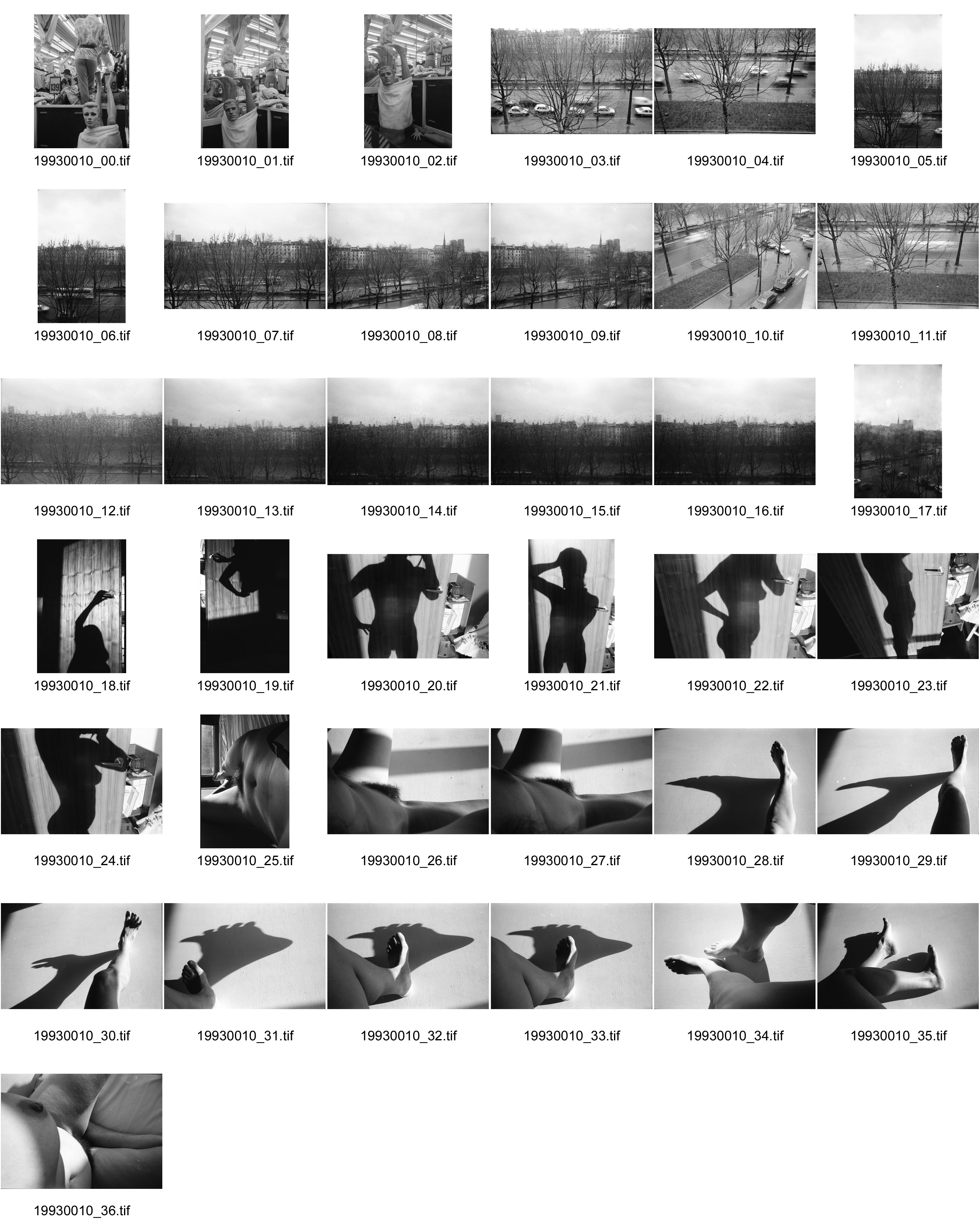 Image of sheet 19930010: Aussicht auf Seine und Rue de l'Hotel de Ville Verkehr. Bäume und Fluss. Mein Schatten. Selbstportrait