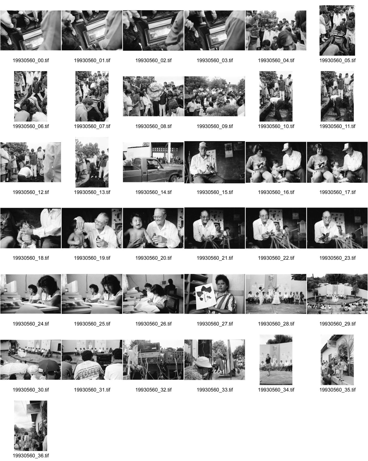 Image of sheet 19930560: Beerdigung des von Contra in Chontales getöteten Frente Mitglieds Julio Cesar Izcano Perez, 50. Sobador Don Felix mit einem kleinen Patienten. Er zeigt mir die Pflanzen die er gebraucht. Im Centro arbeiten Frauen an einer Datenbank für Pflanzen. Maria Elsa zeigt mir getrocknete Pflanzen aus dem Herbarium dass sie betreut. In Sebaco wird eine neue Apotheke 'Medicina Popular' eingeweiht. In Begleitung des Bürgermeisters von Lutterbach. Nicaragua Esteli
Brot fuer die Welt