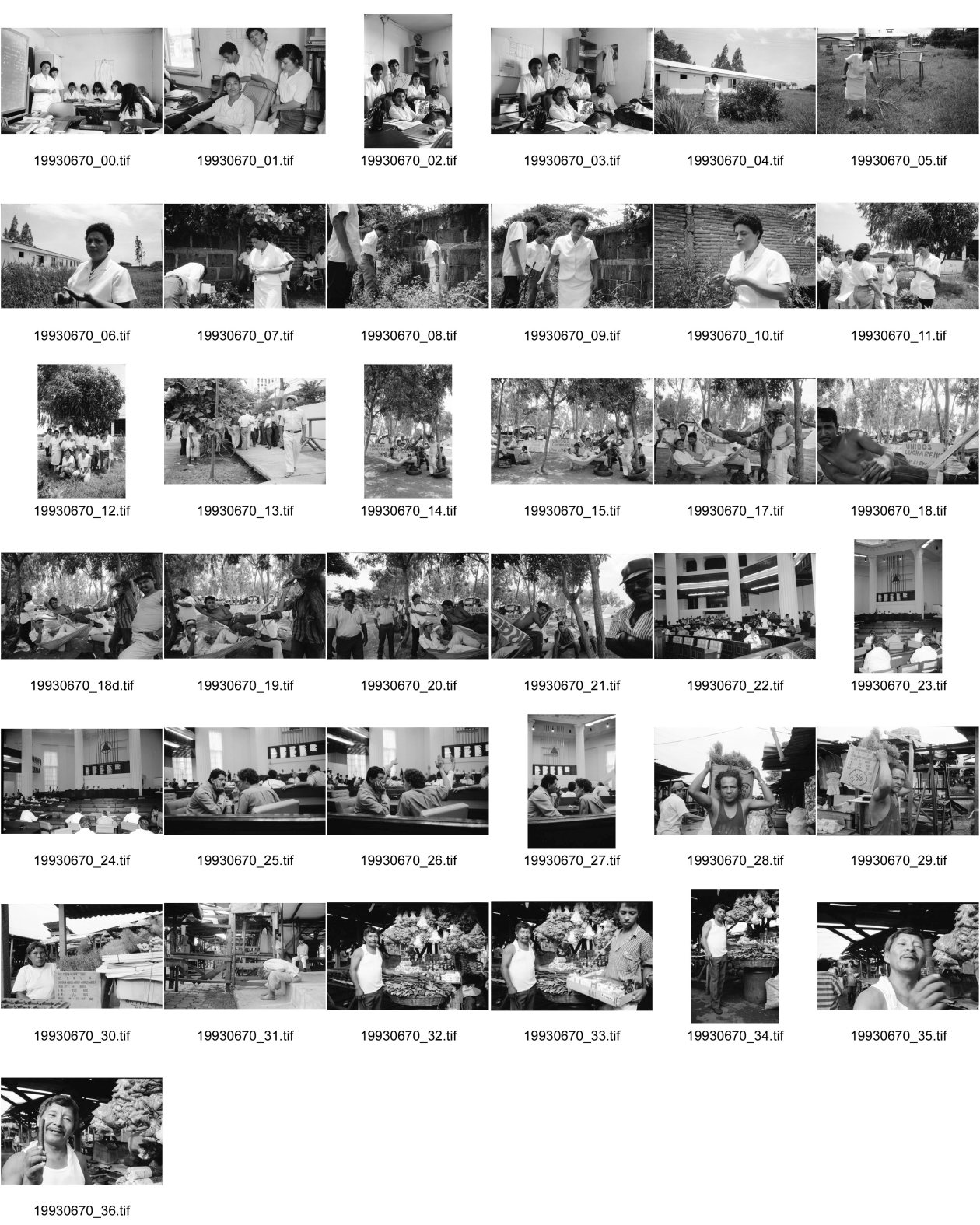 Image of sheet 19930670: Im Spital Carlos Marx mit Schwester Marlene. Sie bildet medizinisches Hilfspersonal in Naturheilmedizin aus. Das Projekt betreute bis vor kurzem auch einen Garten im Spital. Im Klassenzimmer. Managua: Streik von Zuckerarbeitern vor dem Parlament. Regierung: Omar Cabezas diskutiert mit Dora Maria Tellez in der Nationalversammlung. Mit Thema Amnestie für die Kämpfer des FROC - Esteli. Ambulanter Heilkräuterverkäufer im Mercado Oriental. Verkaufsstand Heilpflanzen im Mercado Oriental. Managua Nicaragua 1993

Dora María Téllez Arguello comandante guerrillera, historiadora y política nicaragüense nacida en la ciudad de Matagalpa, el 21 de noviembre de 1955.