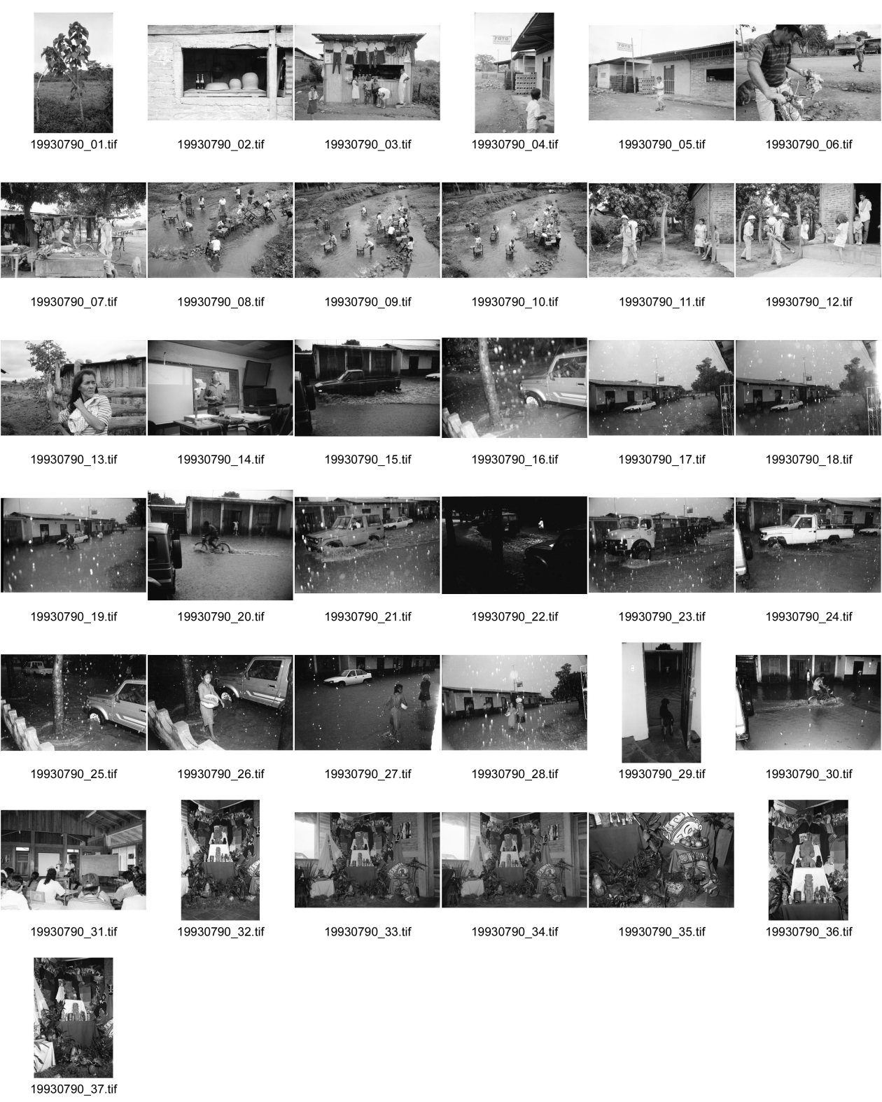 Image of sheet 19930790: Tempate Baum. Verkauf von Coca und Tongefässen. Laden für Schuluniformen. Foto Salgado. Schulkinder waschen im Fluss ihre Schulbänke. Das Barrio wird von Angehörigen des Gesundheitsministeriums gegen Dengue und Malaria mit Insektiziden eingesprayt. Dona Maria. Bayardo Gamez hält in der Uni Esteli einen Vortrag über den indianischen Ursprungs der Nicaraguanerinnen. Ueberschwemmung in Esteli vor dem Haus.La Barranca Schulungszentrum. Altar.  Nicaragua 1993