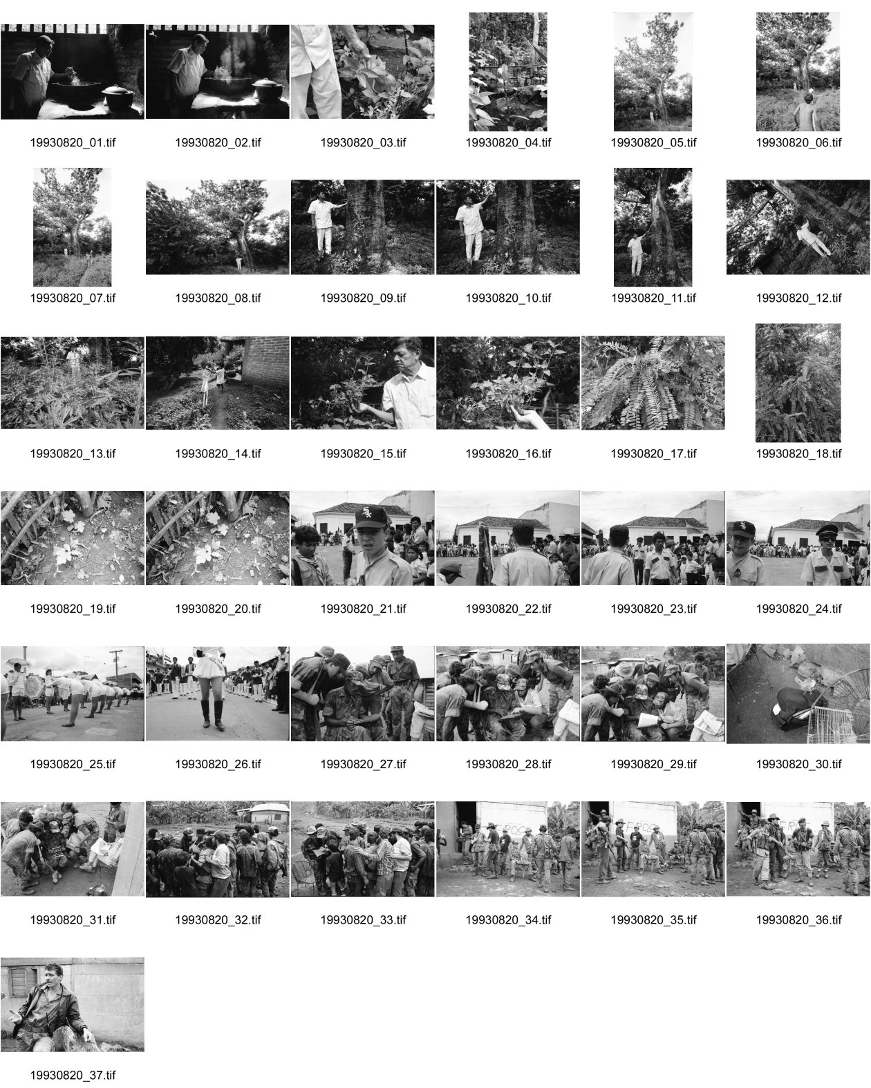 Image of sheet 19930820: Juan Alberto Benavidez in seiner Küche. Im Garten steht Alberto und zeigt mir seine Pflanzen die er in der Veterinärmedizin gebraucht. Naturheilmedizin traditionelle Medizin Unabhängigkeitstag in Esteli. 15.09.Parade. FROC Angehörige und 2. Jefe Pedro. in der Zona Enclave San Jacinto, auf dem weg nach Yali. (Venezia.) Esteli Segovias Nicaragua 1993