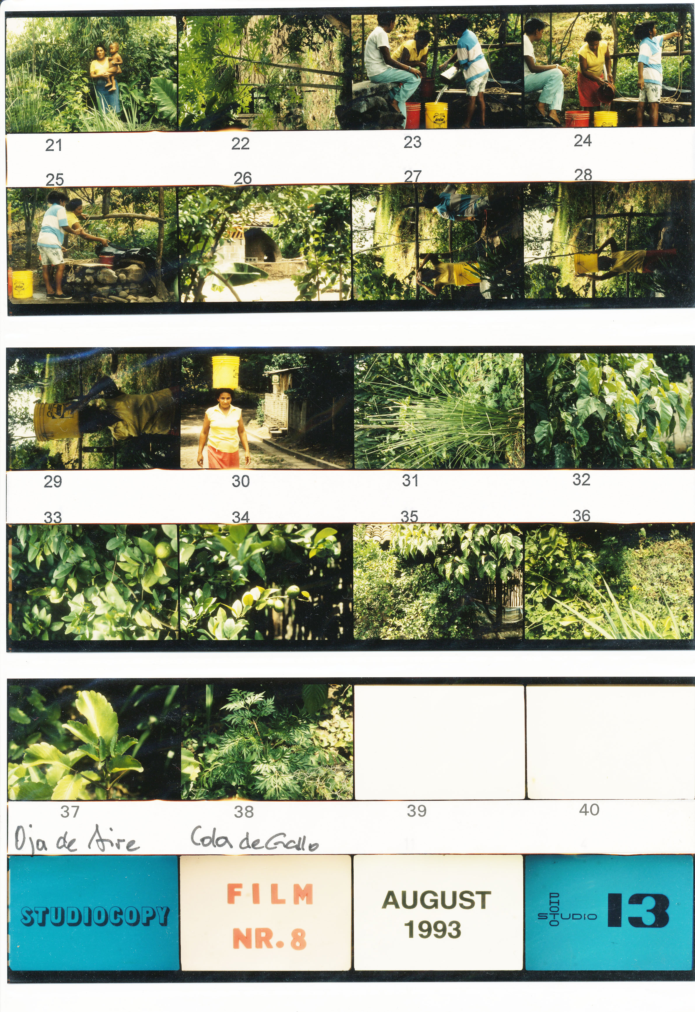 Image of sheet 19930910: 19930920 TEIL 2 NEG NR. 21-38
Nicaragua Naturheilmedizin 1993 Frauen Arbeit Wasser Brunnen Pflanzen Oja de Aire nr. 37 und Cola de gallo (?) o caballo nr. 38 Frau trägt Wasser in einem Plastik Eimer auf dem Kopf Heilpflanzen Mutter und Kind