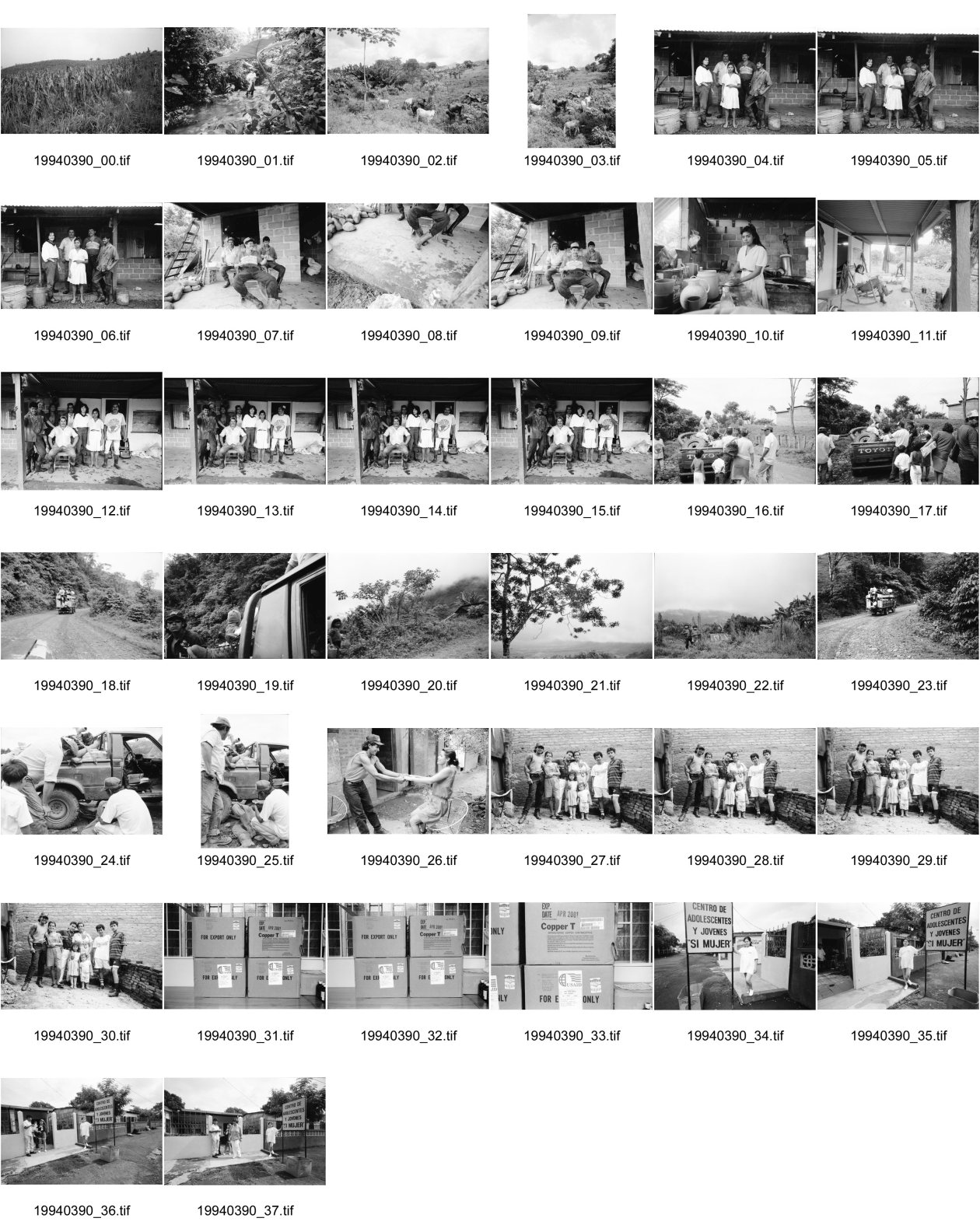 Image of sheet 19940390: Finca Las Confluencias Rinderherde Gruppenbild Juanita Tinoco Chema Negro und Felicitas. Pinto Riccardo und Polin. Camioneta Umgebung La Cuesta. Lastwagen mit Personentransport. Camioneta flicken. Gruppenbild mit Polin Valdivia Salinas  und Familie Meiling Yaosca etc. Viktoria Vicky Victoria Esteli Nueva Segovia 
Kartonschachteln mit Copper Antikonzeptionsmittel Pillen Antibabypillen aus den Vereinigten Staaten USA. Nordamerika. Si Mujer in Managua San Judas 16 jähriges Mädchen schwanger. Promotoren Nicaragua 1994