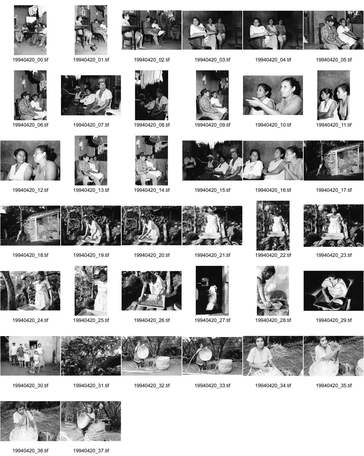 Image of sheet 19940420: Sitzung der 14 Cros Comité Administrativ für Kleinkredite davon sind sechs Frauen. Mädchen beim Bohnen säubern Gruppenbild mit Bamby. Doña Juana Catalina 62j. sechs  Kinder macht seit sie 8 j. ist Canastos Körbe für die Kaffee ernte. Habe drei für Pantasma gekauft. Nicaragua 1994