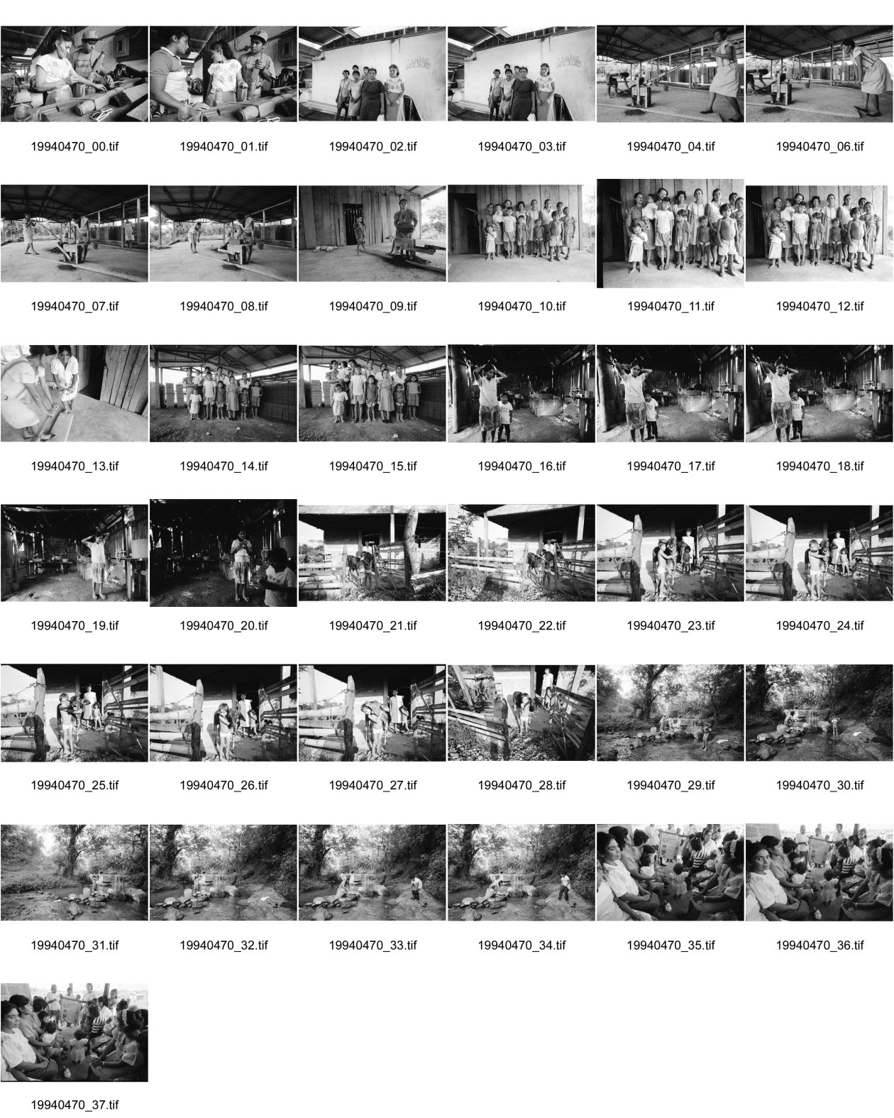 Image of sheet 19940470: Gruppenbild der Bloquefrauen Frauen Kooperative Maria Luisa Ortiz MLO. Schreinerfrauen  In der Schreinerei arbeiten Frauen und gleichzeitig werden sie durch die Hilfe des SAH Schweizerisches Arbeiterinnenhilfswerk, ausgebildet. Angehörige der Kooperative morgens beim waschen etc. Junge schmust liebkost Kalb. Junge Frau und Mutter wäscht sich am Bach. Während der Charla in der Clinica der Kooperative Nicaragua 1994
