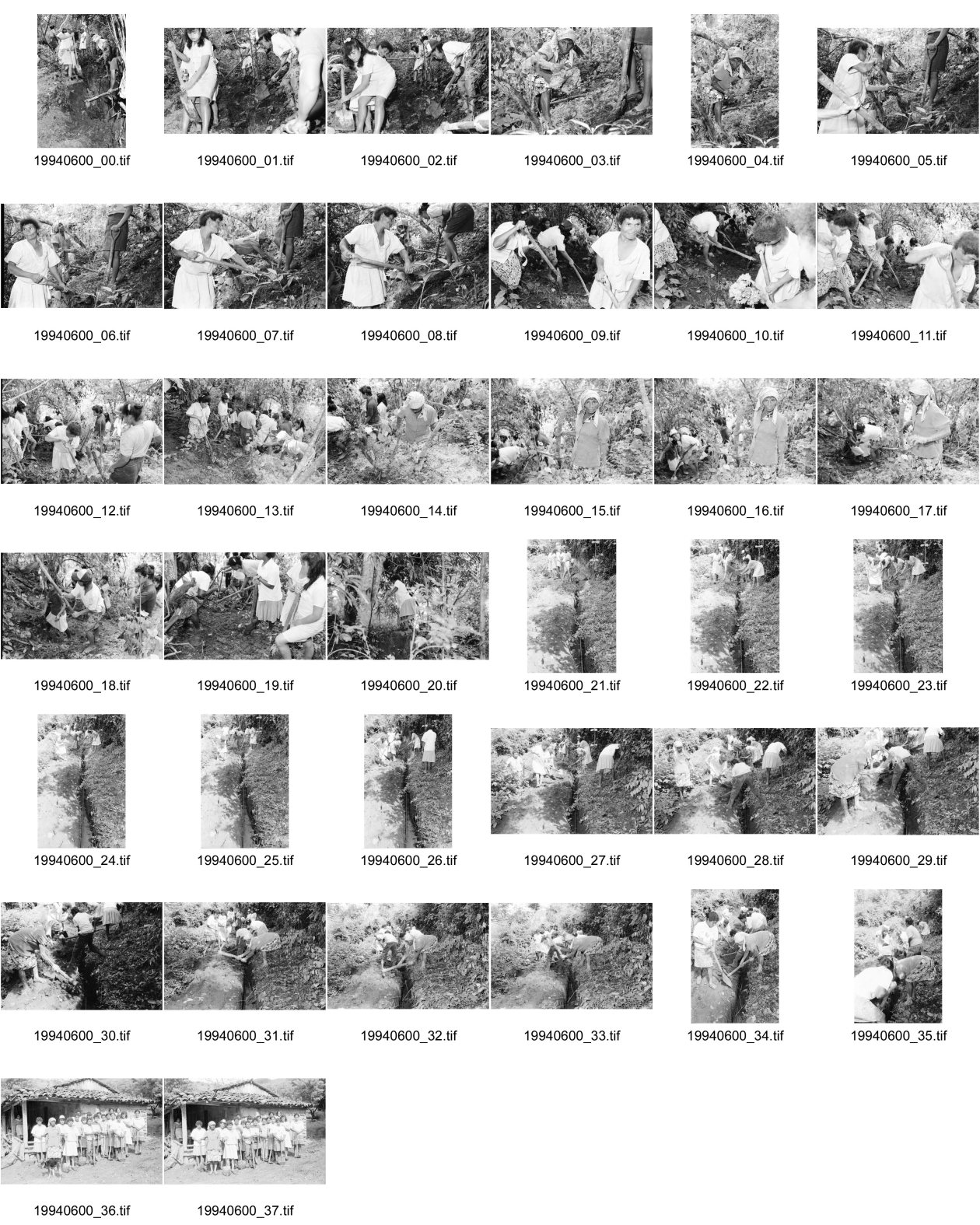 Image of sheet 19940600: frtsg. 940590 Frauen arbeiten an Verlegung der Wasserleitung COSUDE und Inaa. Gruppenbild.
Die Frauen des Dorfes 'El Penasco' arbeiten freiwillig (unterstützt mit Schweizer Finanzierungen aus der Entwicklungshilfe DEZA COSUDE) an der Wasserleitung mit. Nicaragua 1994  Farming Farmer women woman work micro credit agriculture water