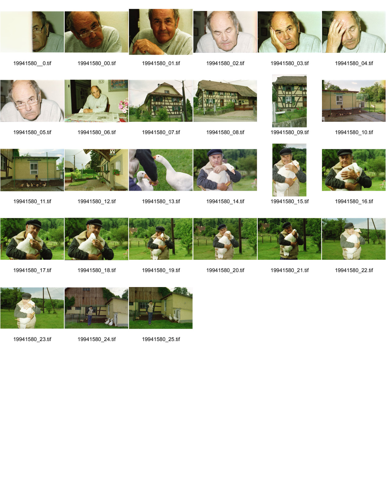 Image of sheet 19941580: Percy Heussler mit Enten vor seinem Haus in Elbach und am Tisch Portrait France Frankreich 1994 Elsass Alsace animaux animal tier