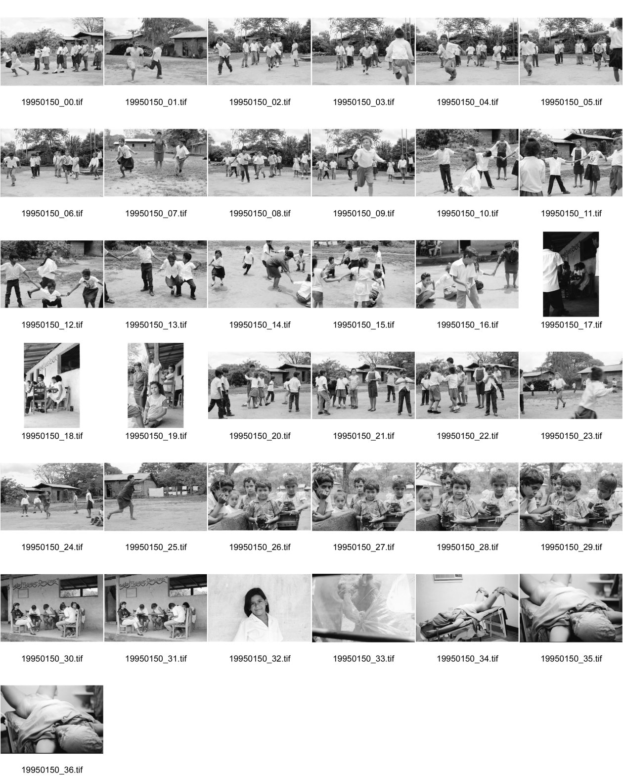 Image of sheet 19950150: frtsg. 950140 Schule Lagartillo Turnen im Freien. Nr. Tochter von Lehrerin Janet. Schwein wird schmerzhaft transportiert und stirbt. Kindergruppe mit jungen Pflanzen. Sterilisation in Casa para la preparacion del Parto Esteli Operation mit Dr. José Angel Pino Corales macht bis sieben Sterilisationen im Tag. auch schon 16. Maria Elizabeth Garcia, 20. aus Jalapa hatte Probleme mit Schwangerschaften. vier Geburten zwei lebend. Nicaragua 1995