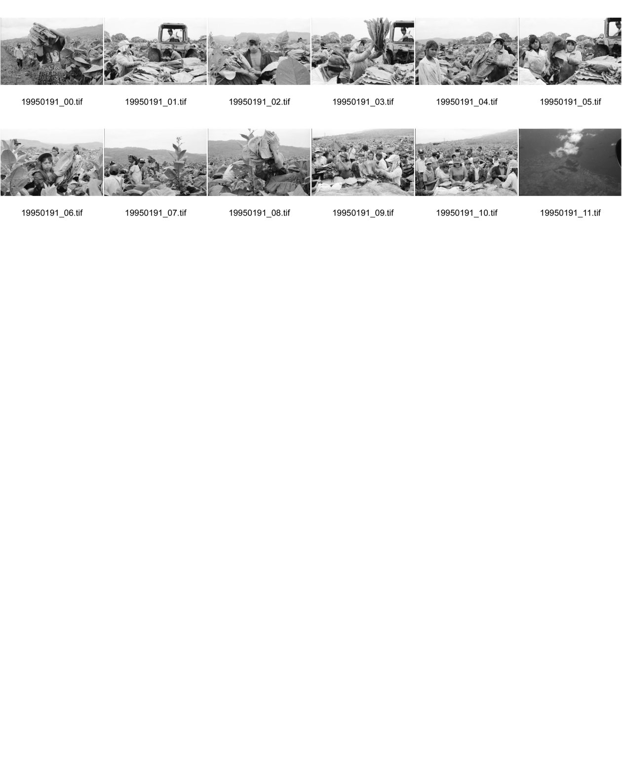 Image of sheet 19950191: siehe 19950190
