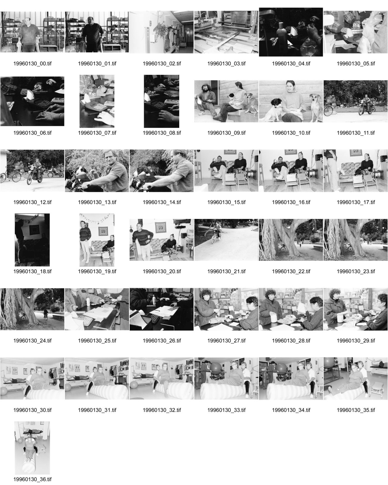 Image of sheet 19960130: Schreiner Stuart Franks im Kibbutz Yasuur Kleinladen ohne Geld Junge Hunde auf Motorrad Barbara und ihr Mann Im Kibbutz unter Baum Im Laden Afula Sav-Yom Day Care Center Physiotherapie für RentnerInnen Rentner Israel 1996