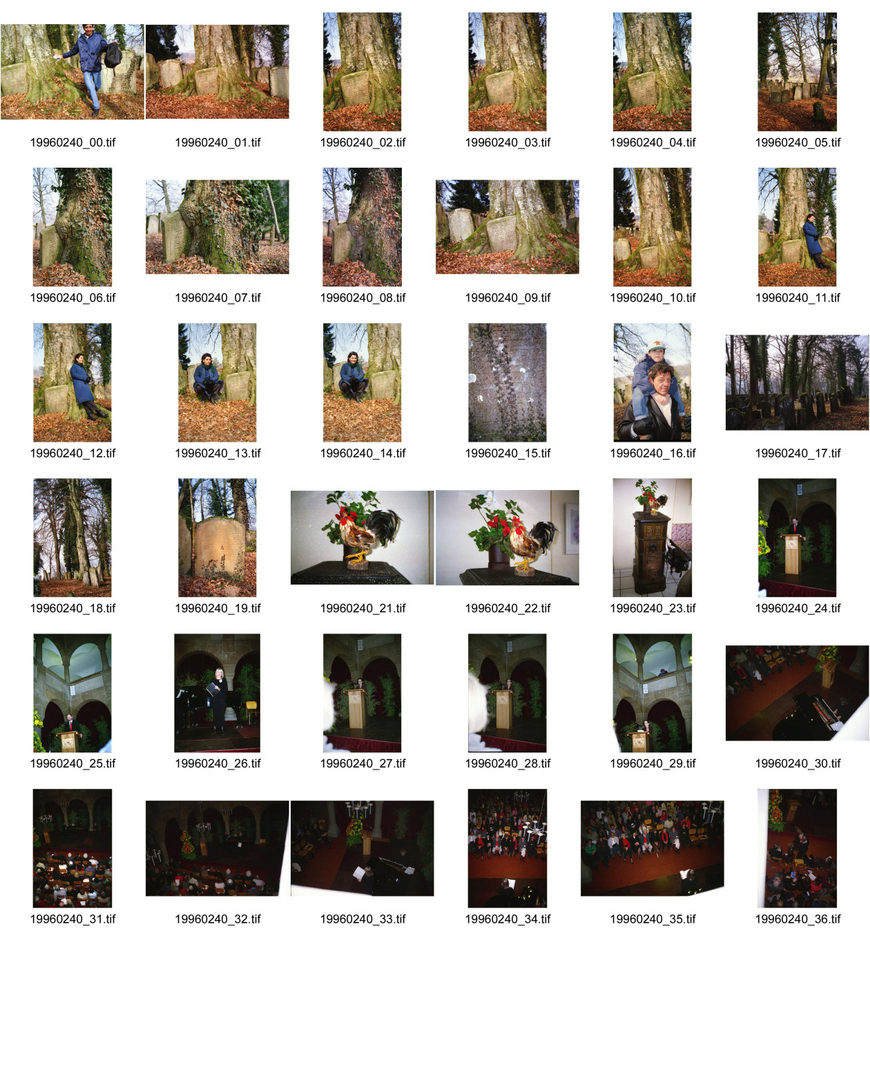 Image of sheet 19960240: Eröffnung 11.03.96 Ausstellung Alis Guggenheim 1896-1996 im Stadthaus mit Maja Wicki Janine Osborne (Gesang) Josef Estermann  Stadtpräsident Zürich  Besuch jüdischer Friedhof Lengnau Kanton Aargau, Portrait Olivia Heussler (Polin Sergio Valdivia Salinas,  Martin Guggenheim mit Sohn Charly Huhn auf Ofen 1996  artist painter swiss Switzerland 1996 jewish 
grave grab cementery