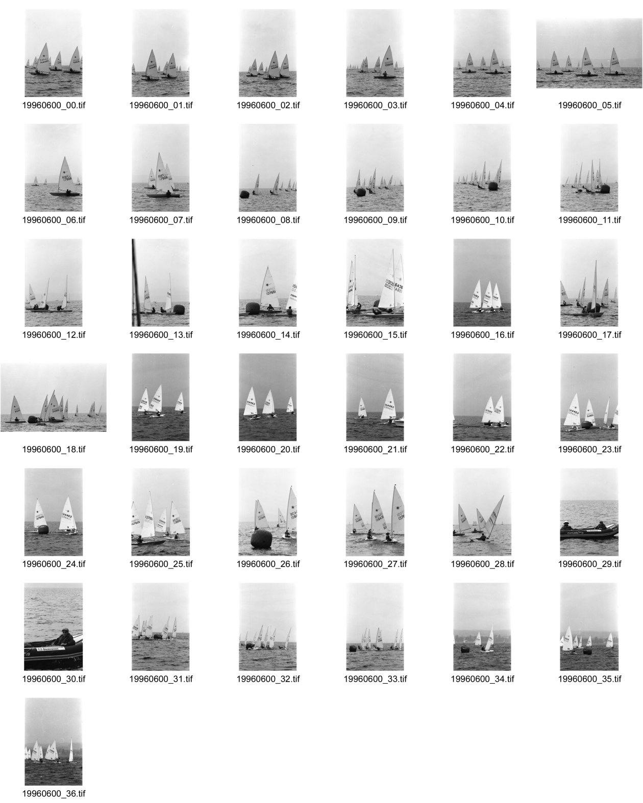 Image of sheet 19960600: Laser Regatta auf dem Bodensee Segeln Sport für ASVZ Postkarten