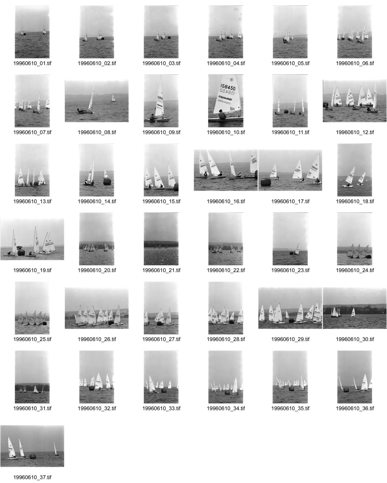 Image of sheet 19960610: Laser Regatta auf dem Bodensee Segeln boot