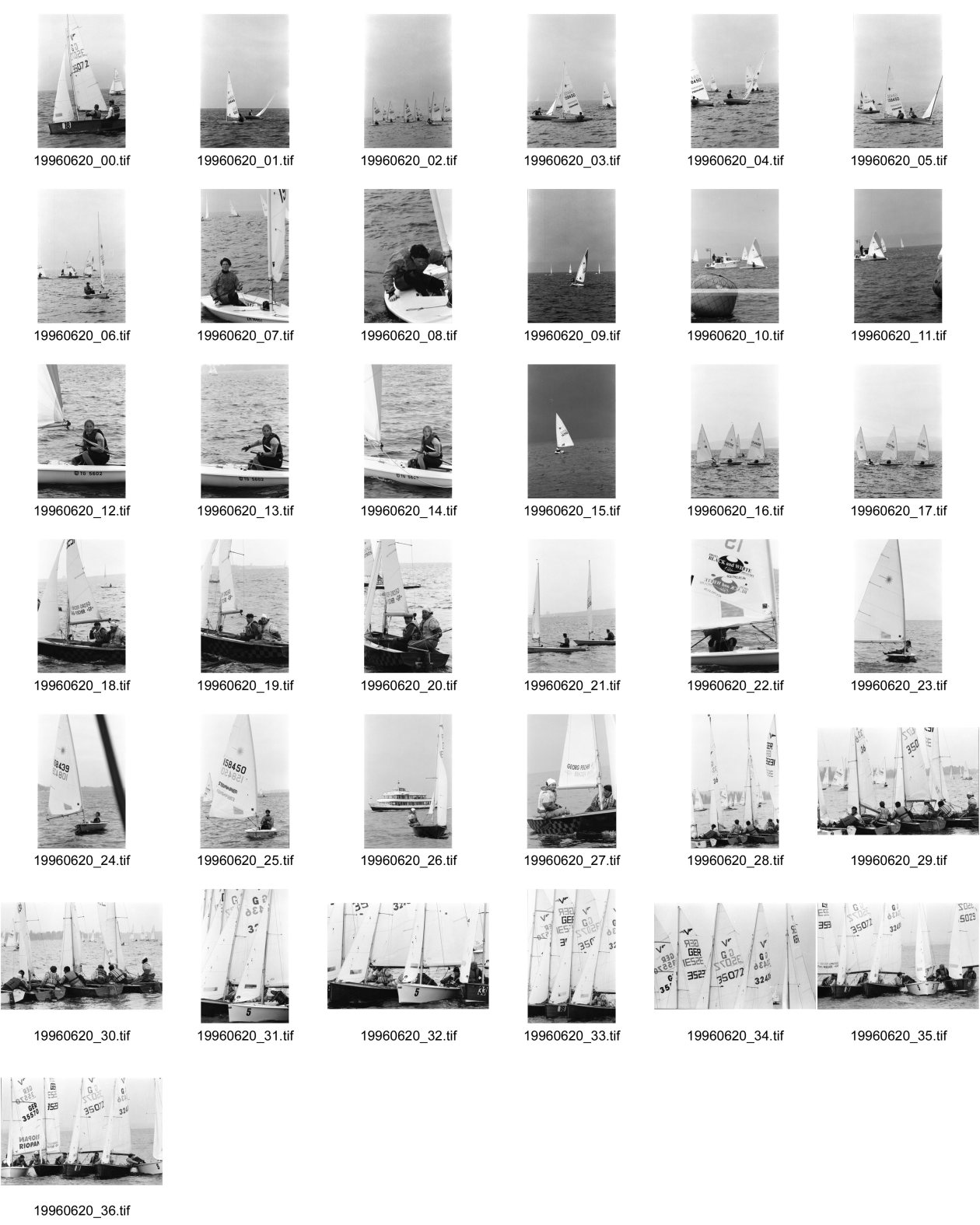 Image of sheet 19960620: Laser segeln Segelboot auf dem Bodensee