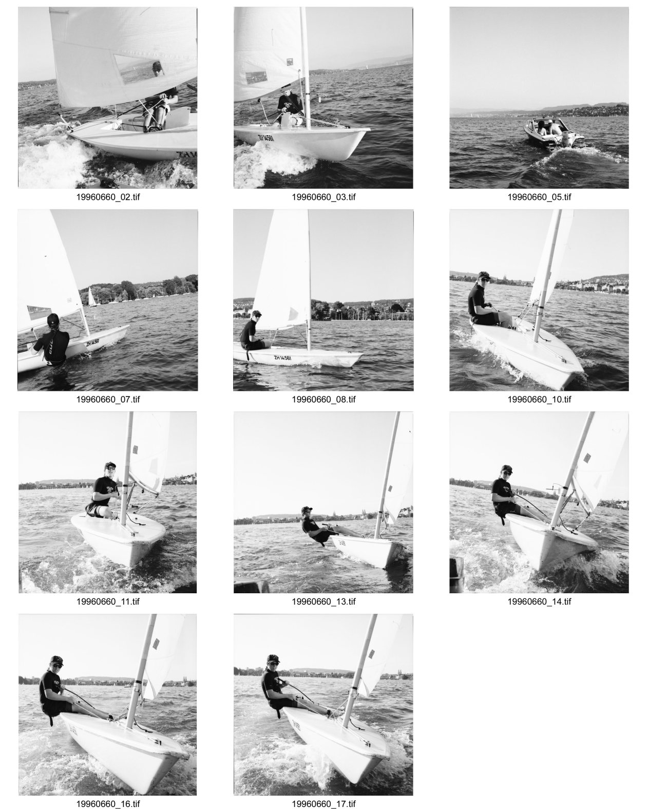 Image of sheet 19960660: Laser Segeln auf dem Bodensee Segelboot