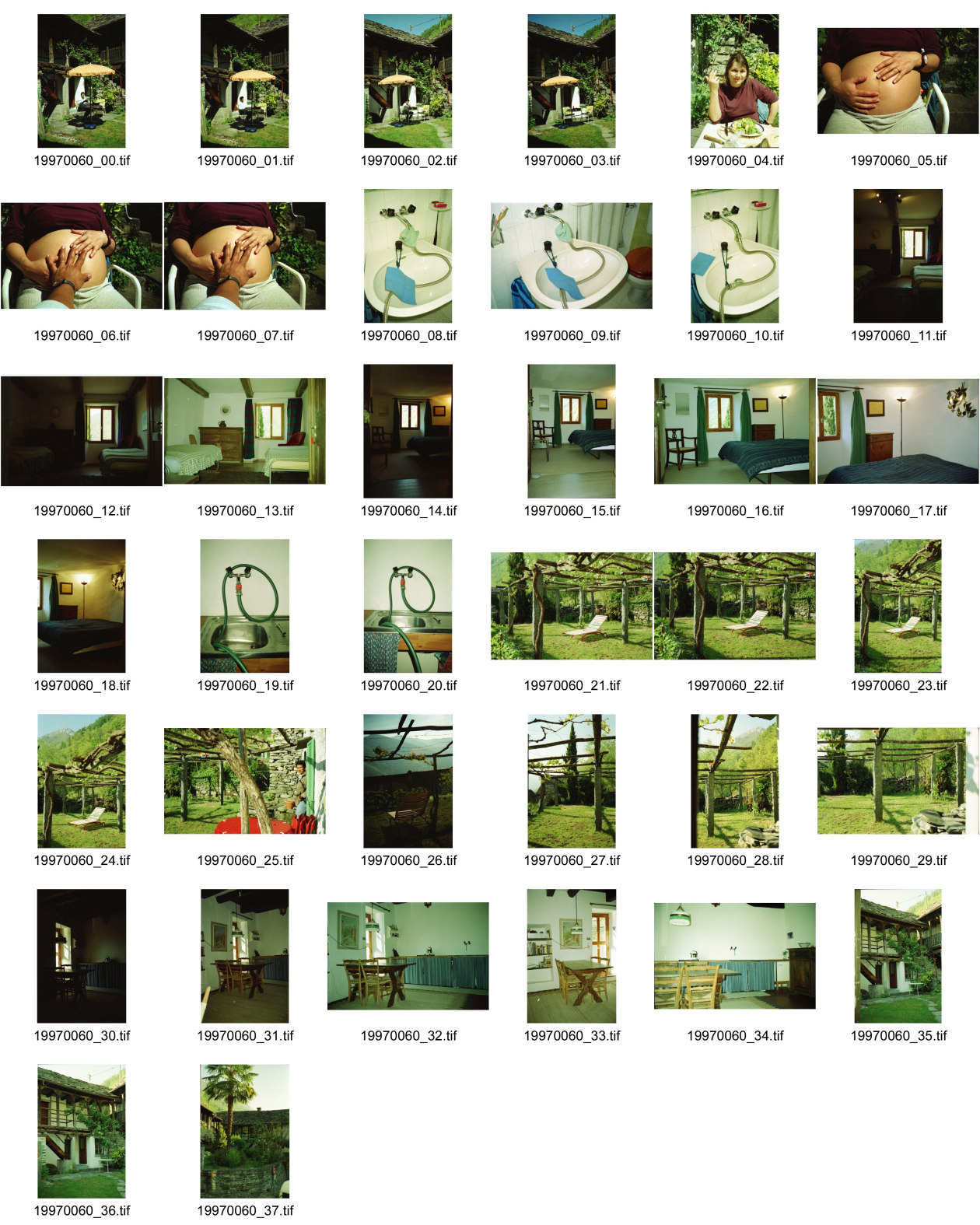 Image of sheet 19970060: Haus Gordevio Innen und aussen Garten Trauben Gebrauchsanweisung Schlauch und Waschmaschine 1997 Tessin Ticino schweiz Switzerland