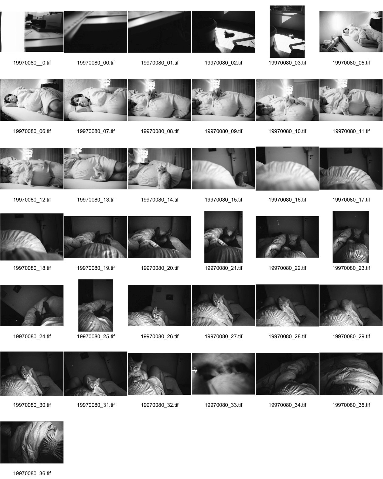 Image of sheet 19970080: Olivias Bauch im 9.Monat mit Katze Minouche auf Bett Hegibachstr.