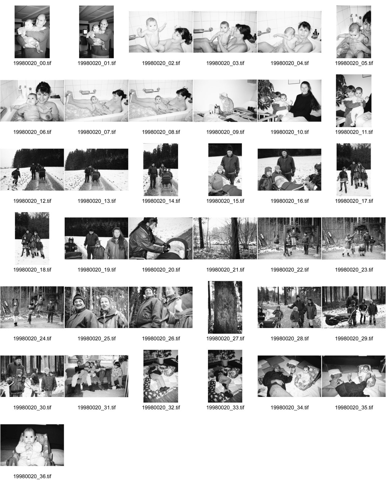 Image of sheet 19980020: Alis mit Percy in Elbach ca. im Nov. 97 Alis im Maxi Cosi / mit Polin/im Bad mit Olivia/ mit Philipe und Maria Dreiding und Familie Sarah Mario Dustin im Wald Zollikerberg Vita Parcours Zürich 1998