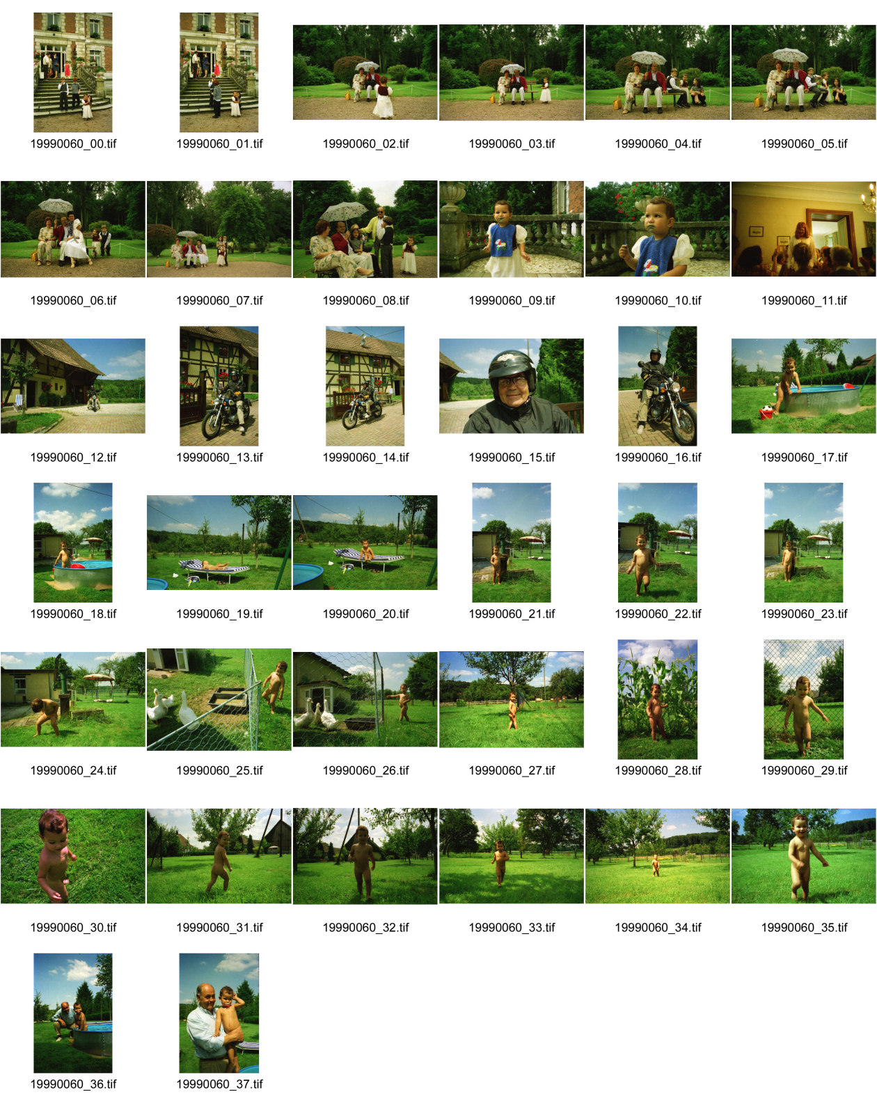 Image of sheet 19990060: Familie in Paris mit Phillip Tamara André Dreiding Sarah Mario Alis Julika Heussler Badmizwa Clara Israel Paris 1999
Alis und Percy in Elbach Dannemarie Pool garten Enten Gänse 


Las Porras Hurricane Hurrikane Hurrican Mitch Quartier Wiederansiedlung
und in der Nähe Tipitapa bei Managua Nicaragua 1990