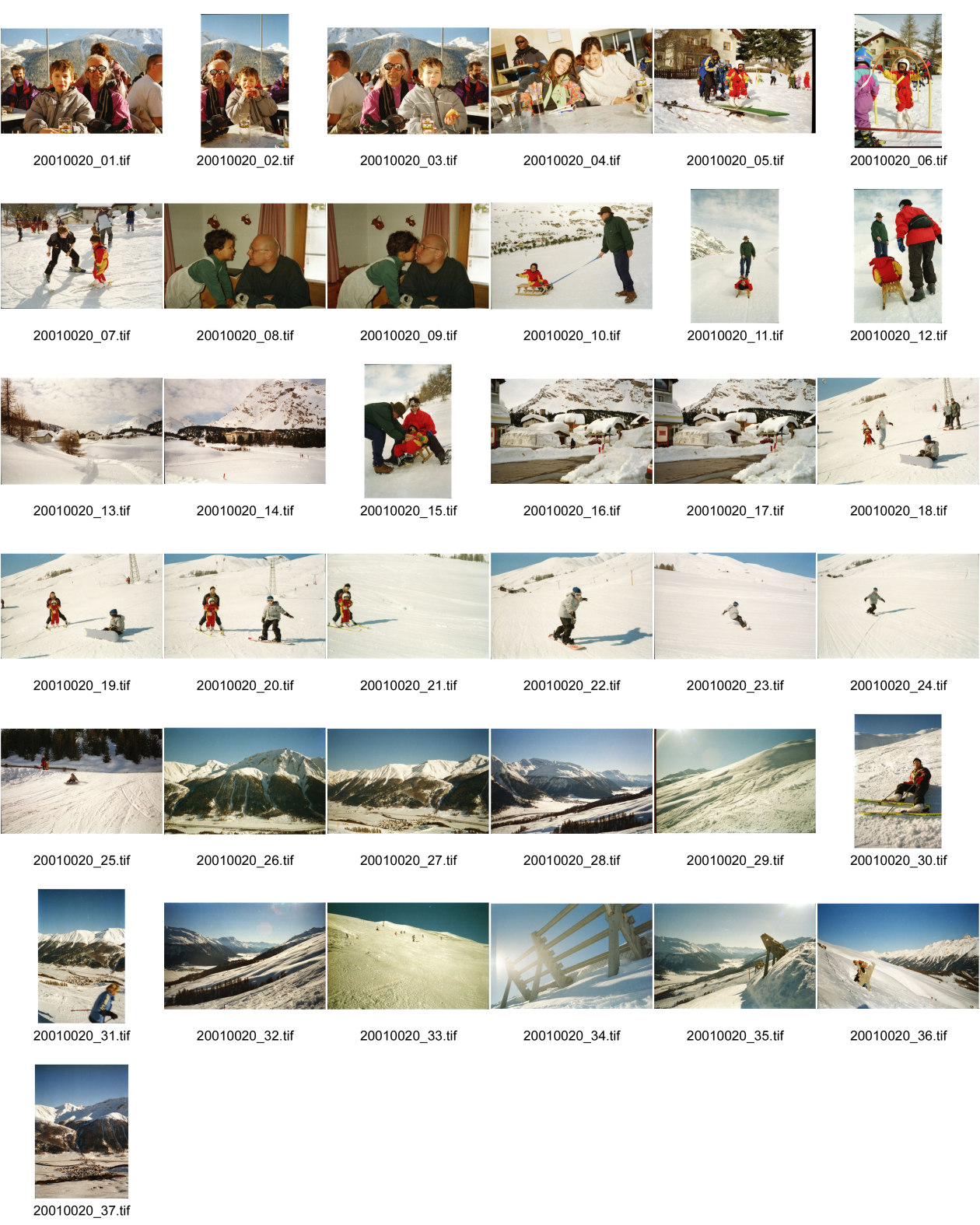 Image of sheet 20010020: Terry Stevens Nelson Catherine Alis Heussler Wolfram Müller Skifahren Snowboarden Alis Skischule Lawinenverbauungen Zuoz Graubünden