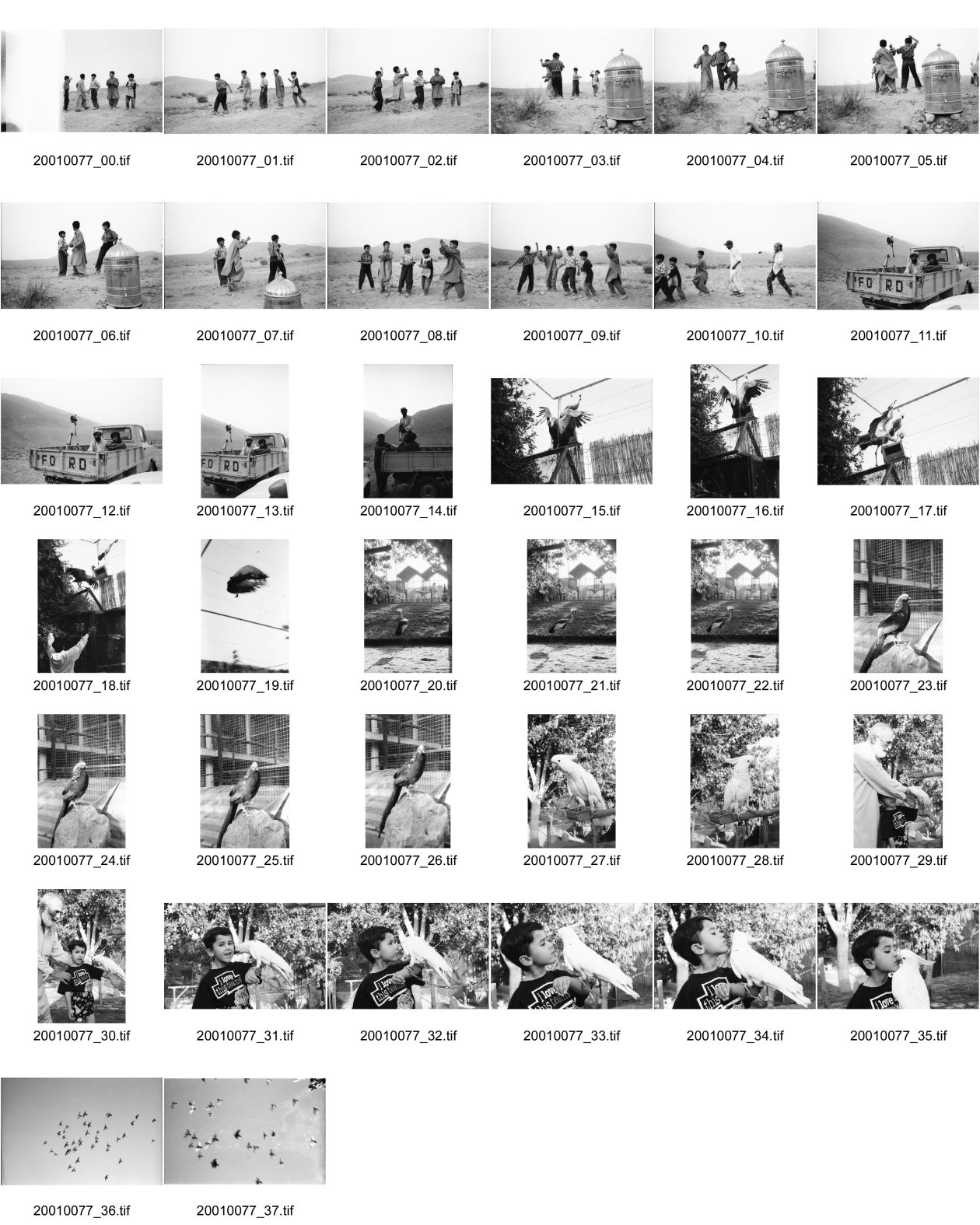Image of sheet 20010077: eine Gruppe von Knaben Buben tanzt um einen Samovar Wassercontainer Wasserkrug in der Wüste von 
Hazarganji Chiltan National Park, is a national park of Pakistan

Belutschistan Paschtunen Vögel Vogelpark Zwei Paschtunen sitzen in einem Pickup mit Videokamera

Belutschistan (persisch ‏بلوچستان‎) ist eine Region im Iranischen Hochland, die sich über den Osten Irans, den Süden Afghanistans und den Südwesten Pakistans erstreckt. Die Fläche beträgt etwa 300.000 km².