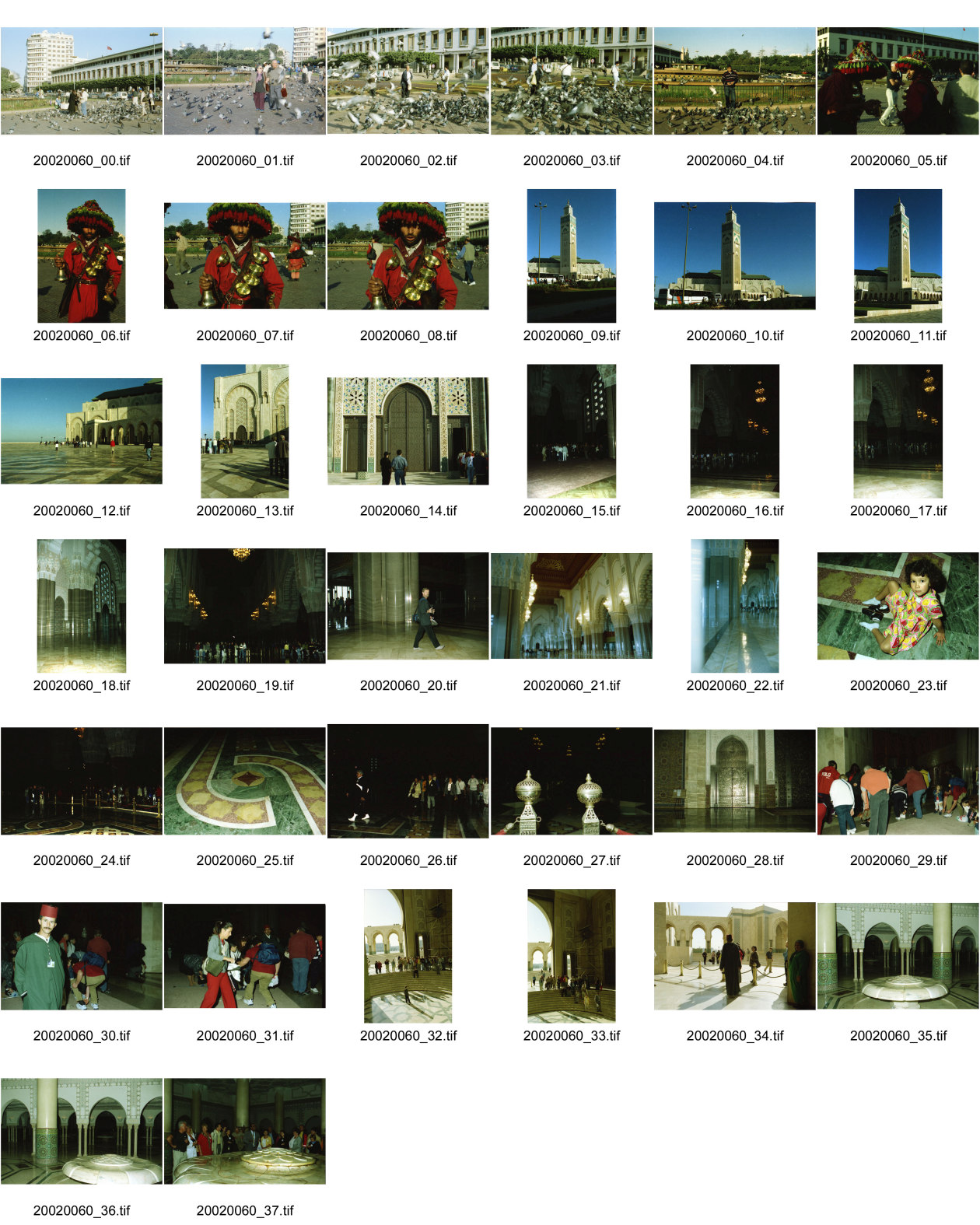 Image of sheet 20020060: Wasserträger traditionell 
König Hassan Moschee Alis 
Taubenschwarm