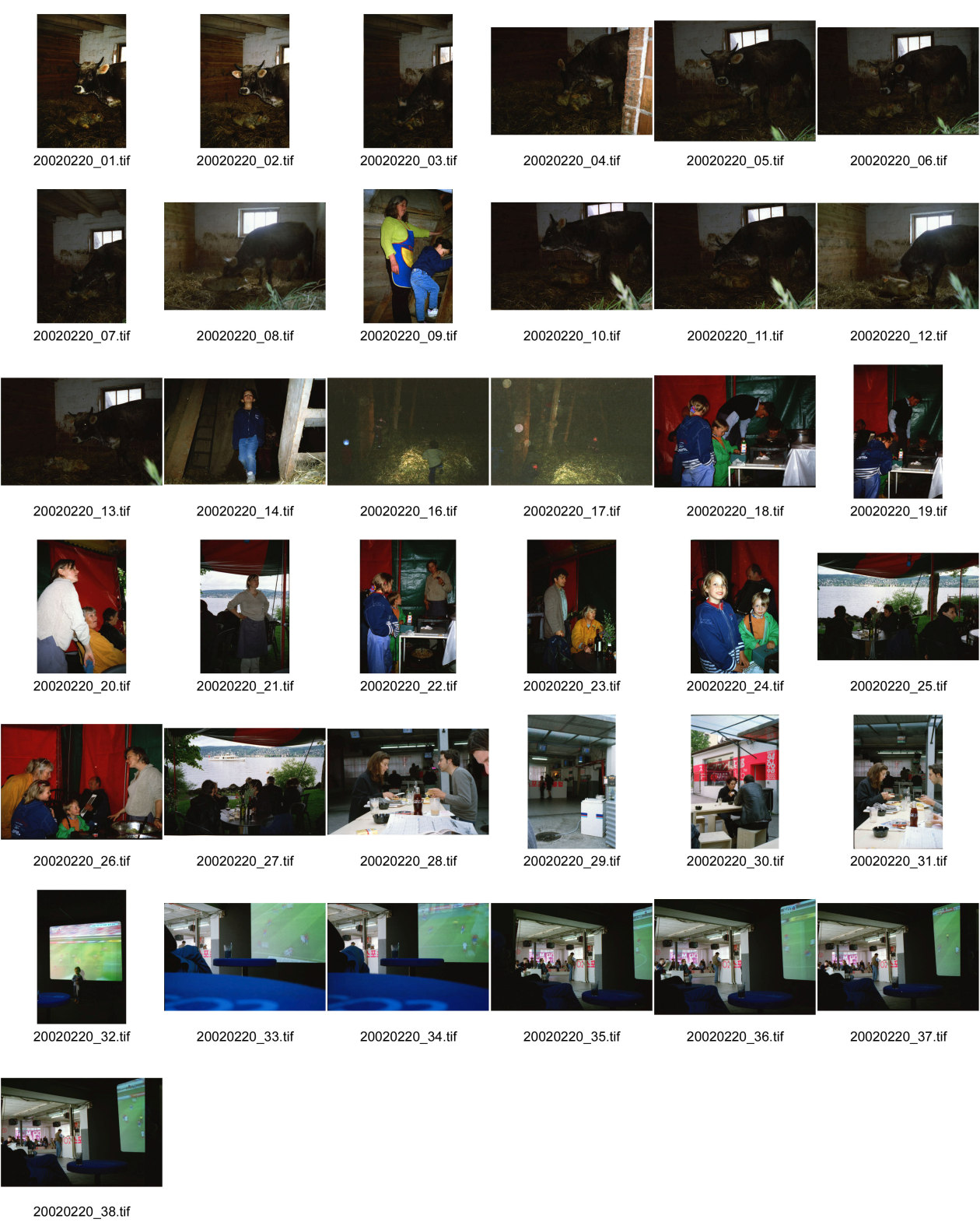 Image of sheet 20020220: Geisshof Gebenstorf Annamarie Annemarie Graf bei Beat Müller Alis Heussler
Kälblein Kalb im Stall Stroh mit Mutterkuh Räthisches Grauveh Grauvieh
Nana mit Max Nüscheler Pilloud in Wädenswil und in Rüschlikon am See Schiff Schifffahrt Zürichsee Südhang Suedhang im Zelt Weindegustation
Fussball Projektion ? Leinwand The 2002 FIFA World Cup was the 17th staging of the FIFA World Cup, held in Republic of Korea and Japan from 31 May to 30 June. It was also the first World Cup held in Asia, and the last in which the golden goal rule was implemented. Brazil won the tournament for a record fifth time, beating Germany 2–0 in the final. Turkey beat Korea Republic 3–2 in the third place match. in der Garage Lagerstrasse neben Räuberhöhle in Zürich