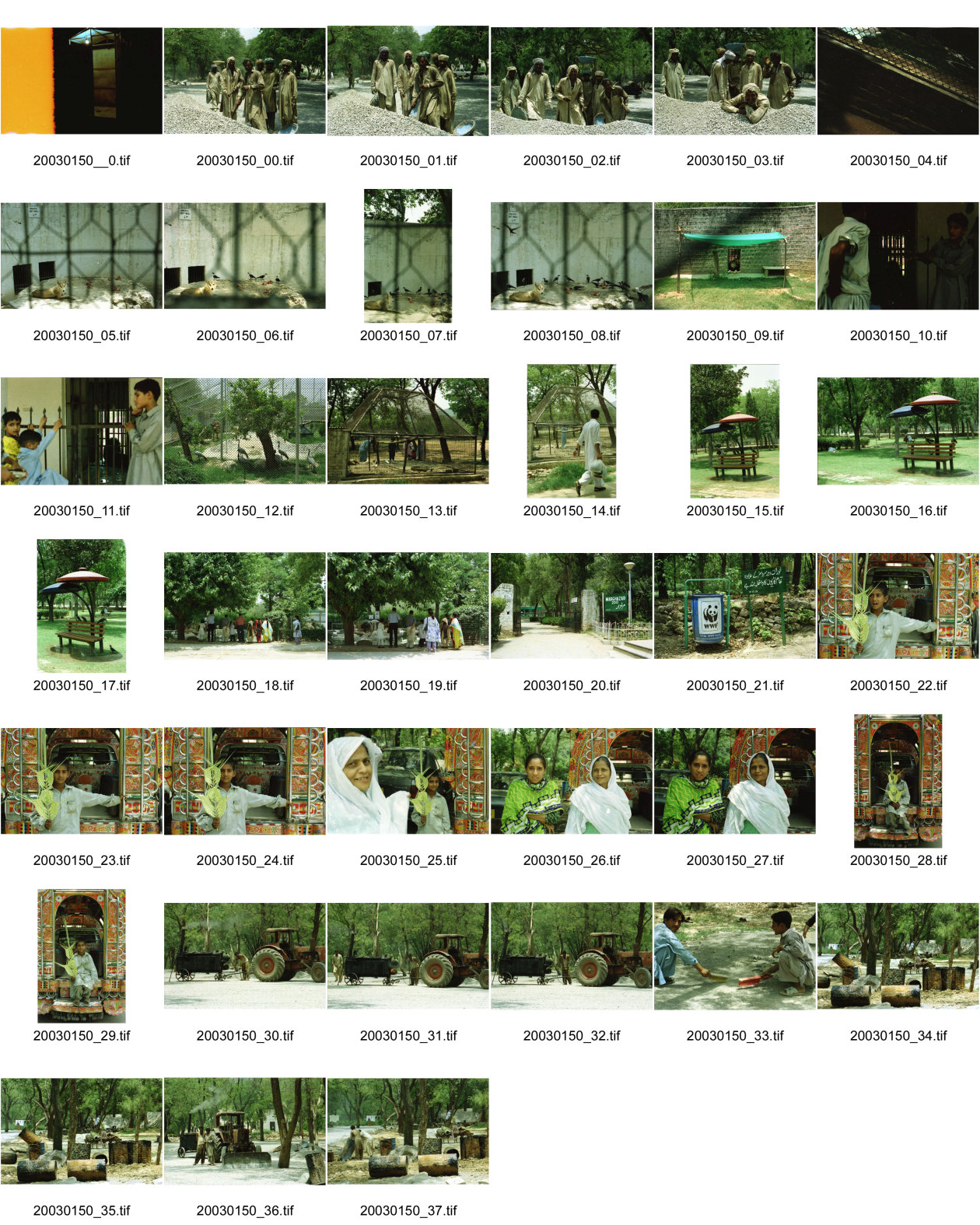 Image of sheet 20030150: Pakistan Islamabad Zoo (Urdu: اسلام آباد چڑیا گھر), previously Marghazar Zoo, is a developing zoo in Islamabad Capital Territory. It was opened in 1978.[1] It is under the administration of Capital Development Authority of Pakistan.[2
Junge steht vor einem Rickschataxi reicht beschmückt und dekoriert. Strassenarbeiter Arbeiter in der Hitze am arbeiten und posieren. Wolf im Gehege des Zoo Krähen fressen ihm das Futter weg. WWF Abfallkübel Sitzplatz mit Schattenspender Traktor Teerproduktion Brennerei Ofen Portrait zwei Frauen