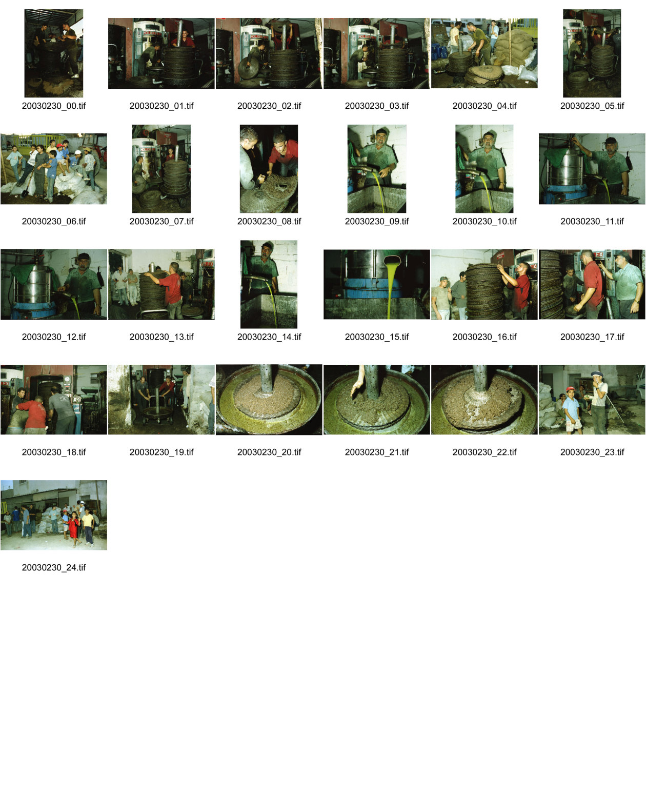 Image of sheet 20030230: Palästina Olivenöl Olivenölproduktion Olivenpresse Bauer Gruppenbild