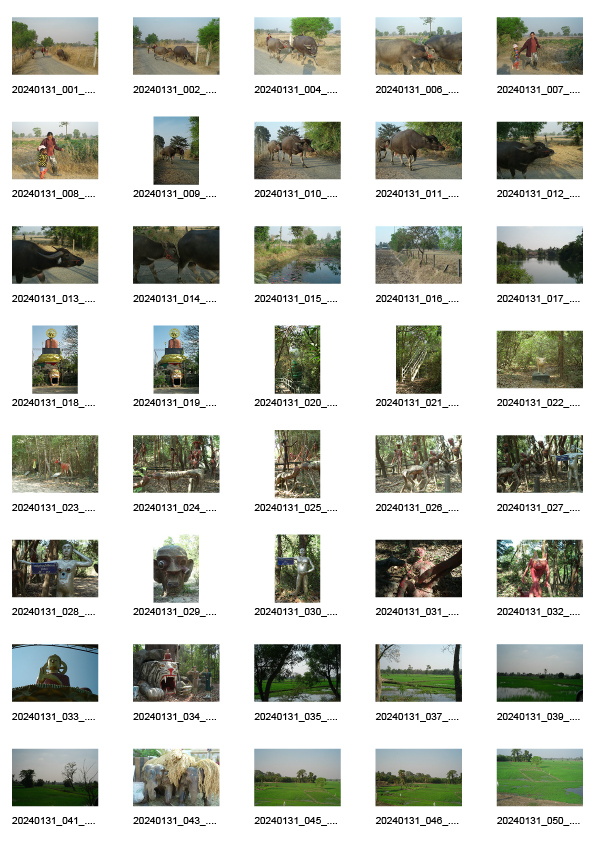 Image of sheet 20240131: Baan Din Daeng, Rattanaburi District, Surin Provinz, Isaan Nordostregion Thailand 2024.